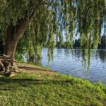 Week-end détente à Vichy