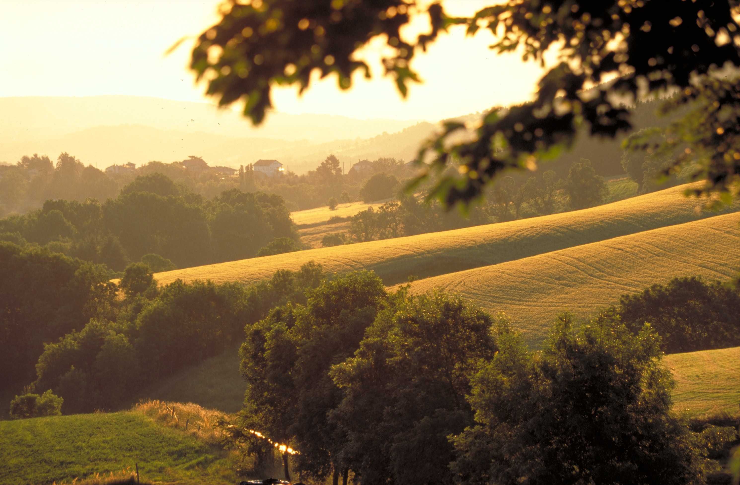 pilat loire