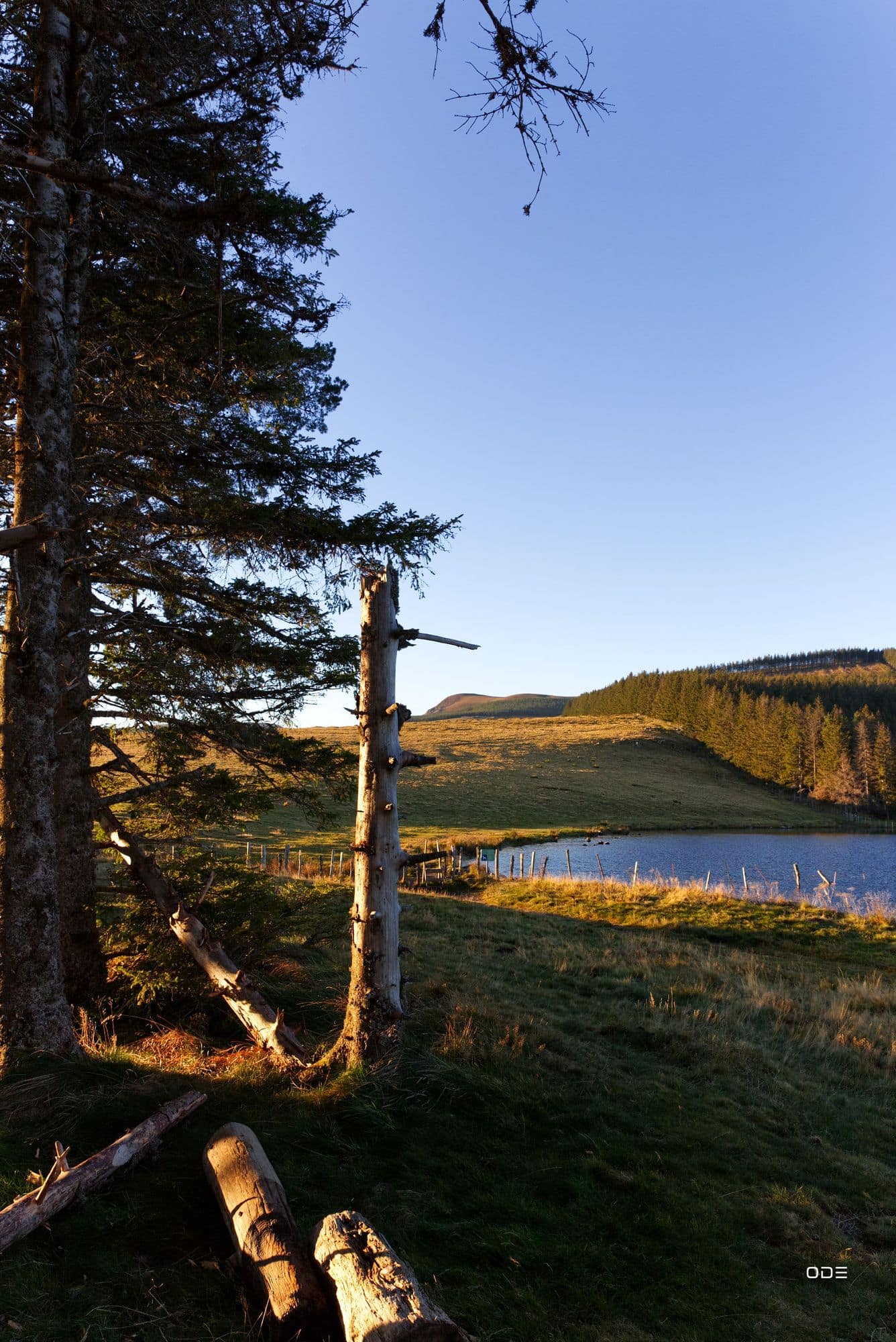 Le Lac de Servières