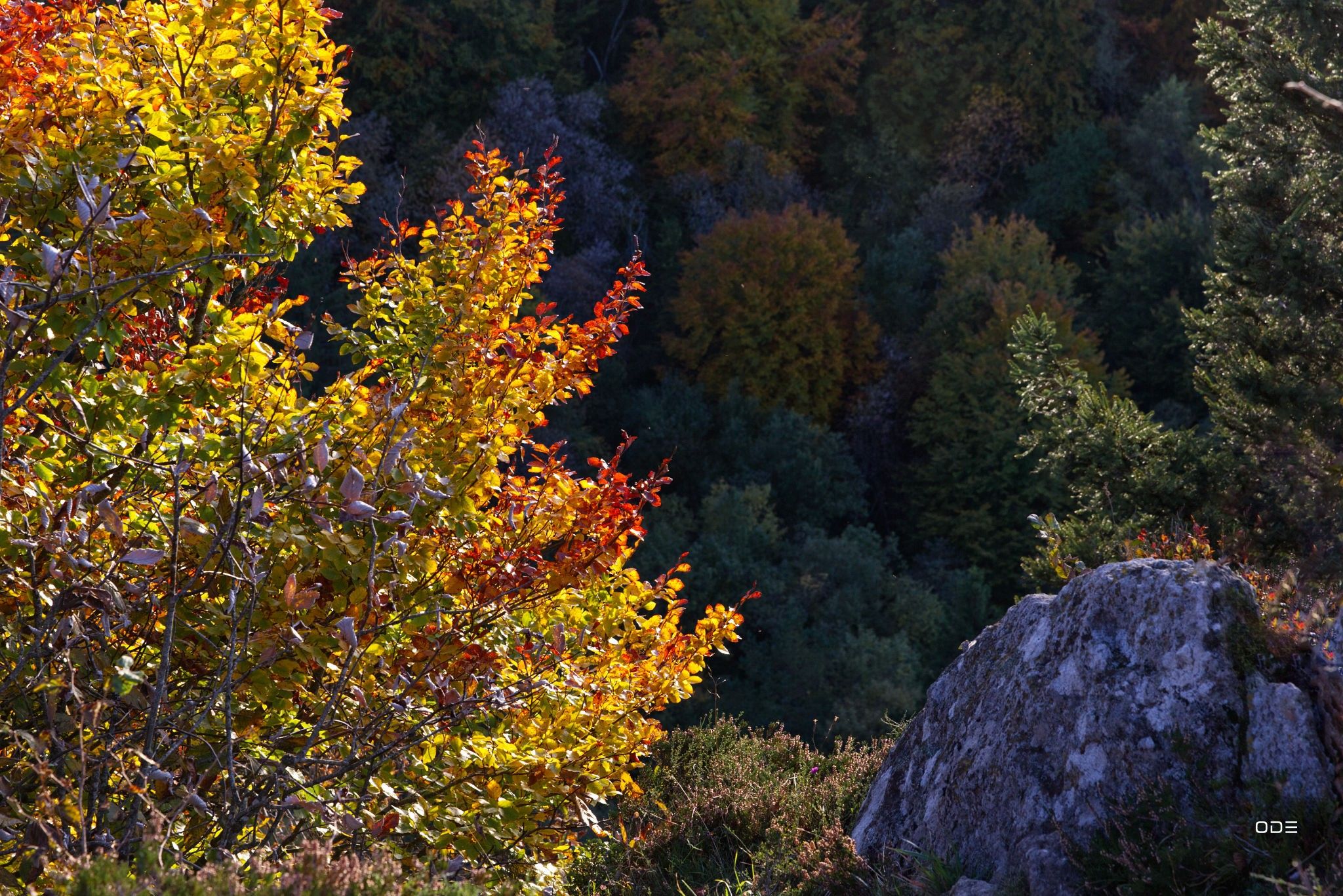 Puy de Clierzou