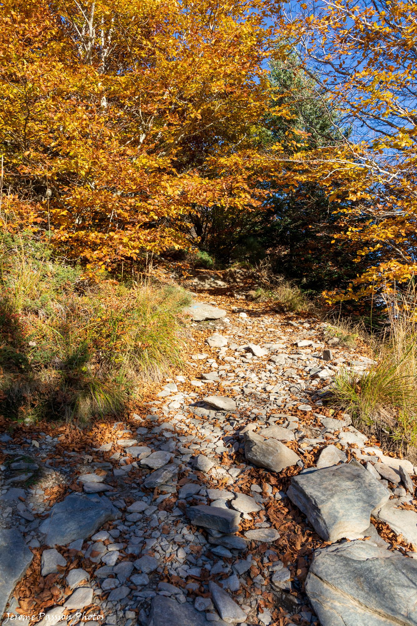 Chemin d'accès