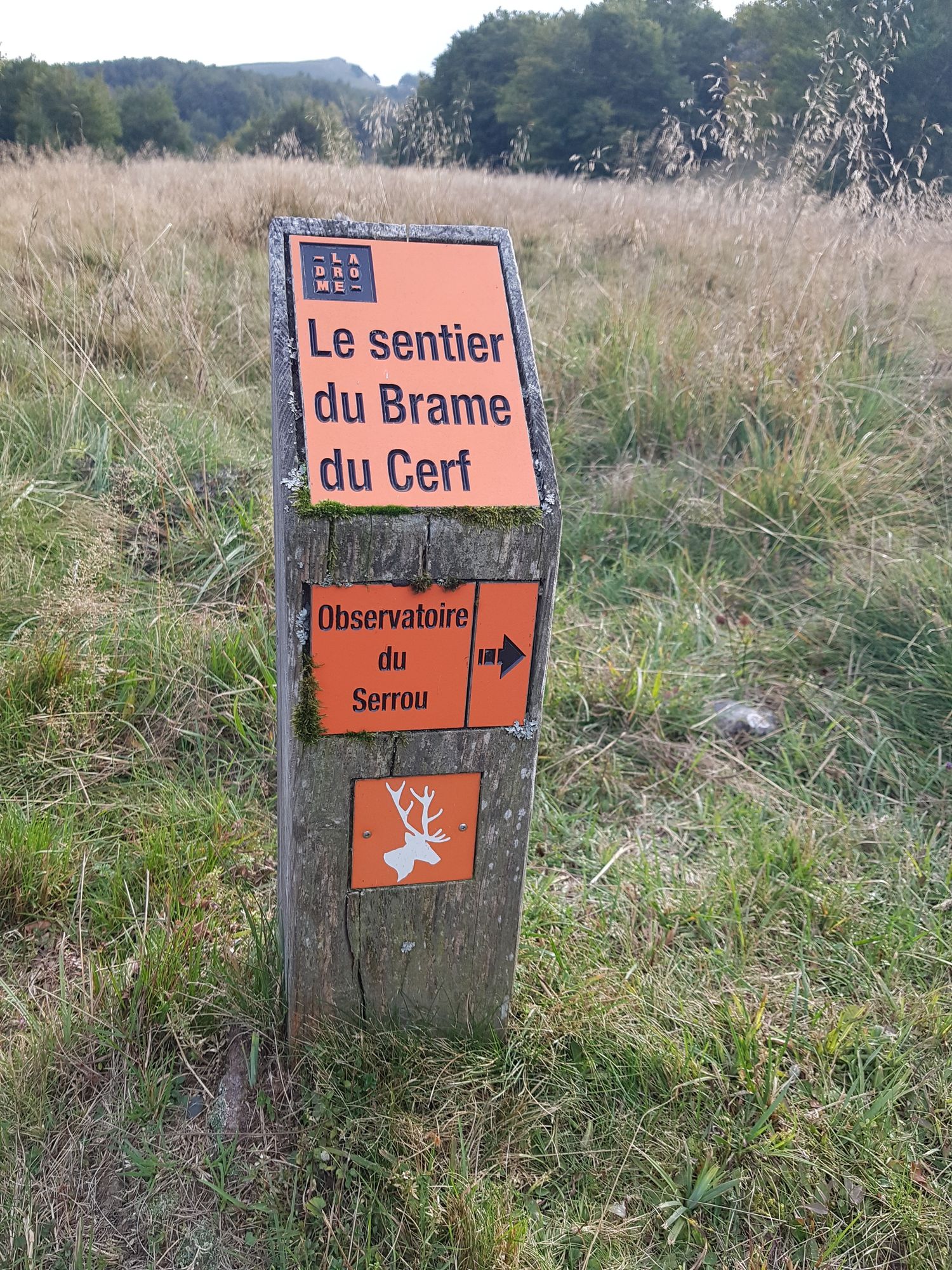 Parcours brame du cerf