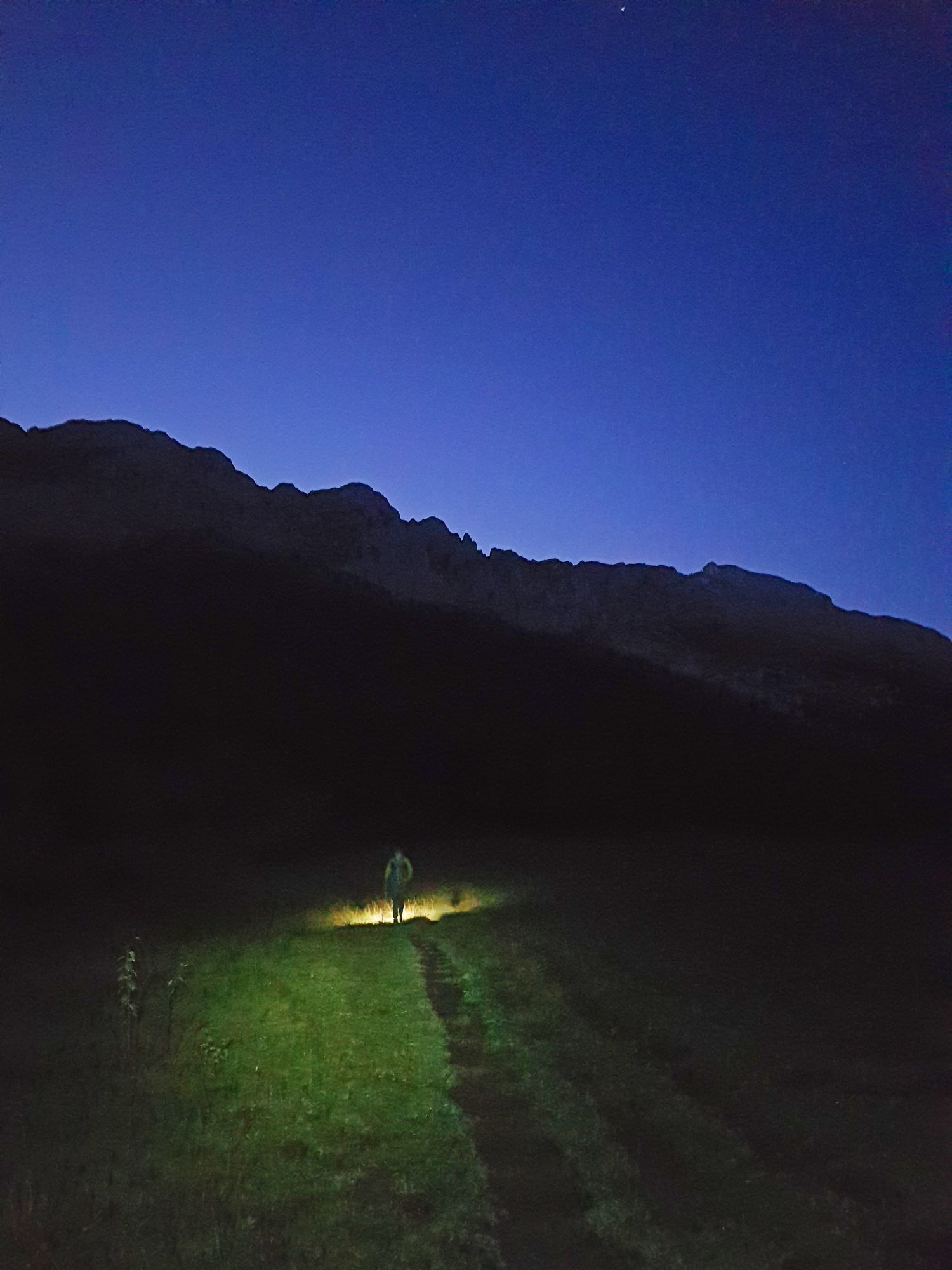 Balade de nuit à la lampe frontale