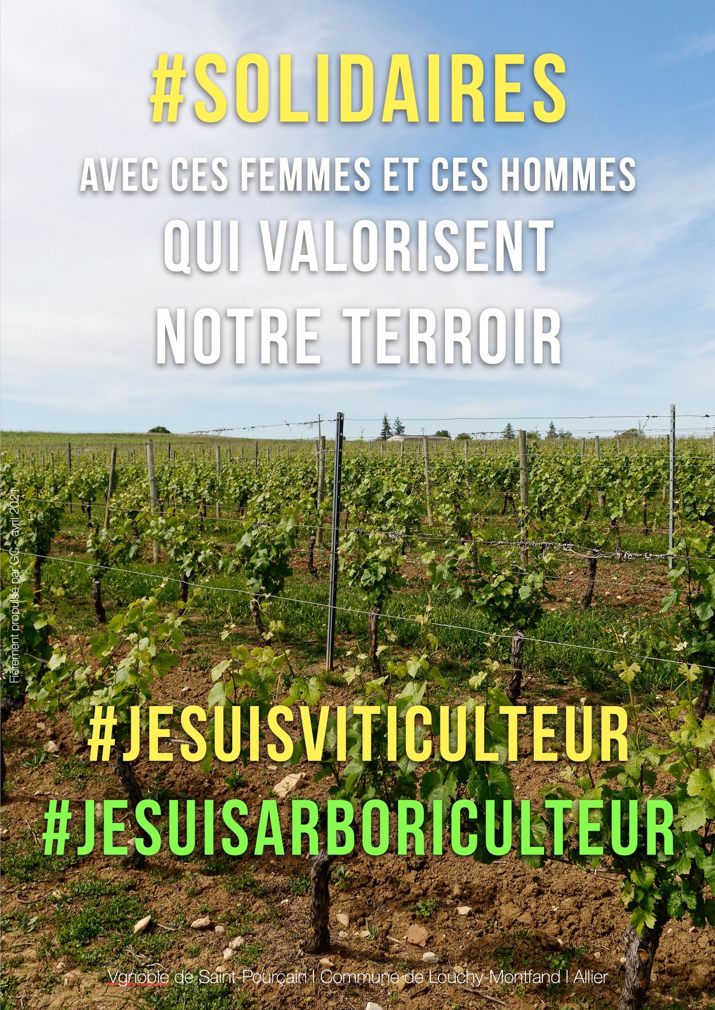 Affiché réalisé en signe de solidarité envers les viticulteurs et arboriculteurs Bourbonnais, suite aux terribles épisodes de gel.
