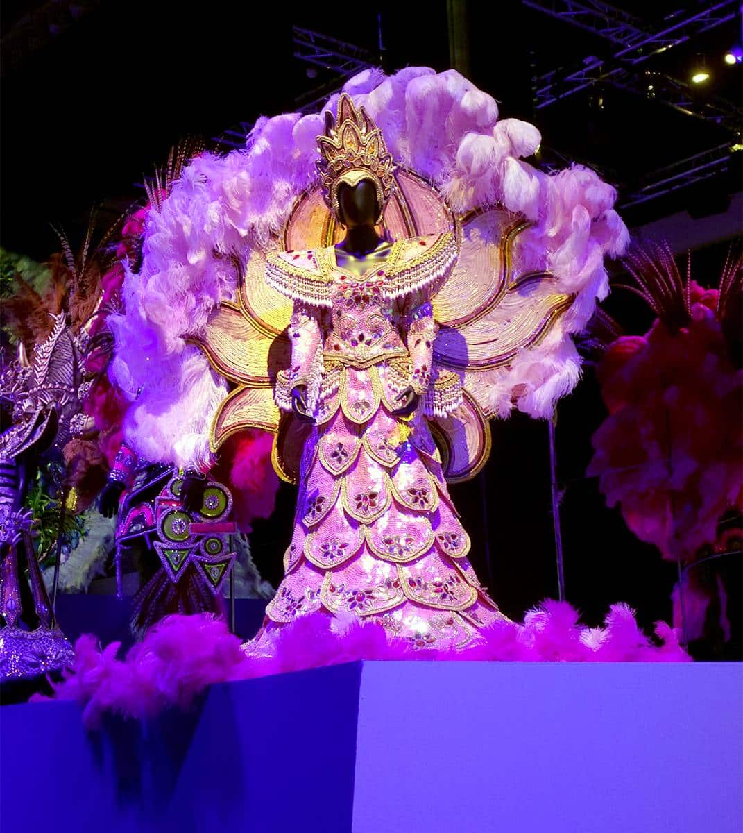 Samba, plumes et paillettes, le CNCS vous emmène à Rio