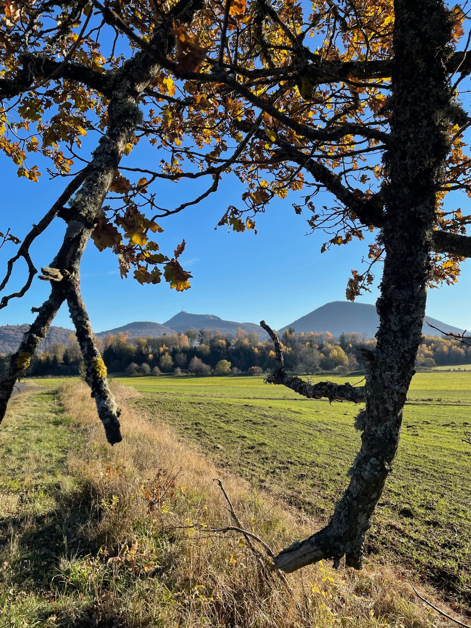 Balade Puys des gouttes et chopine, vue sur les volcans.