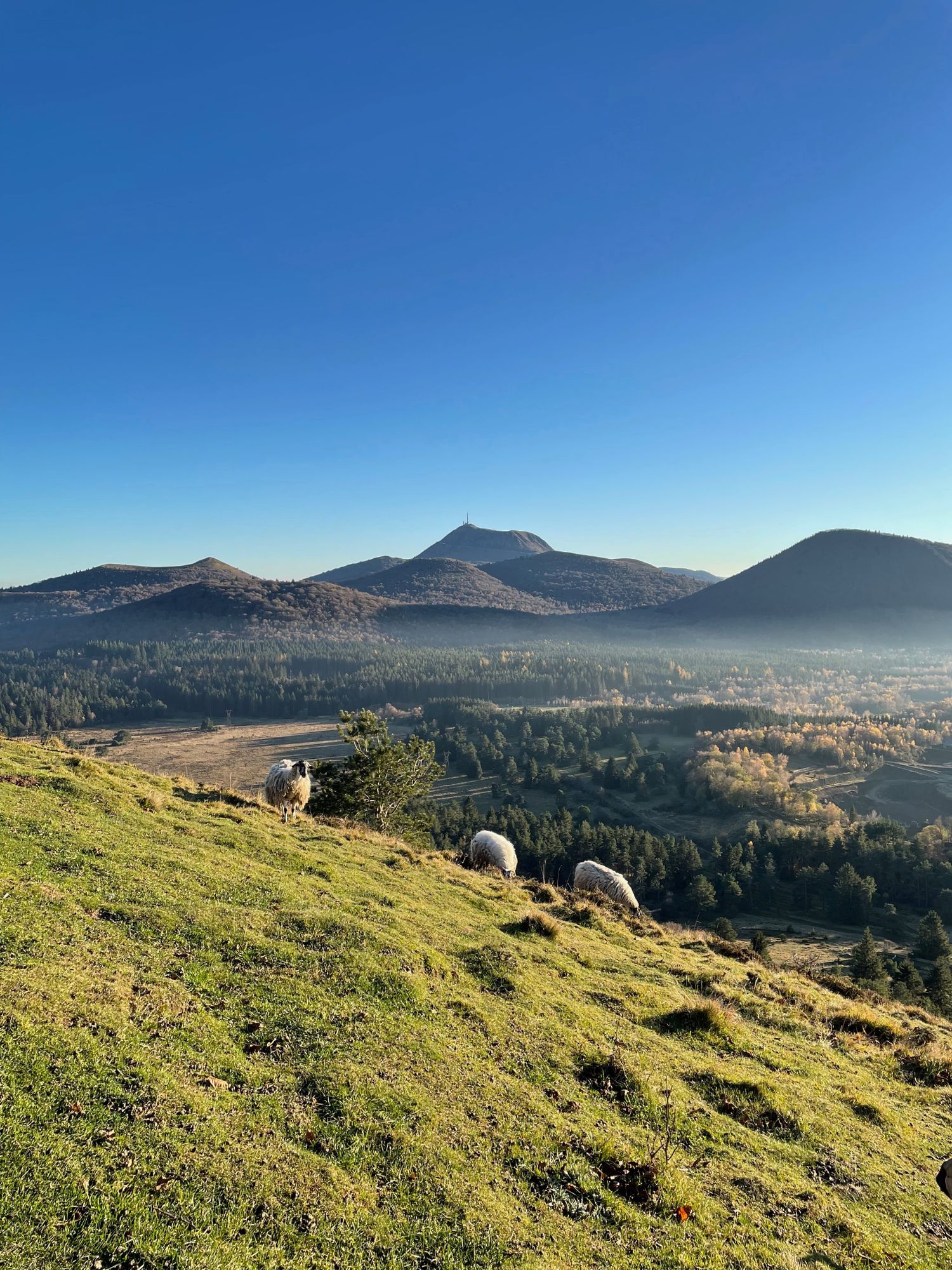 Sommet du Puy des Gouttes.