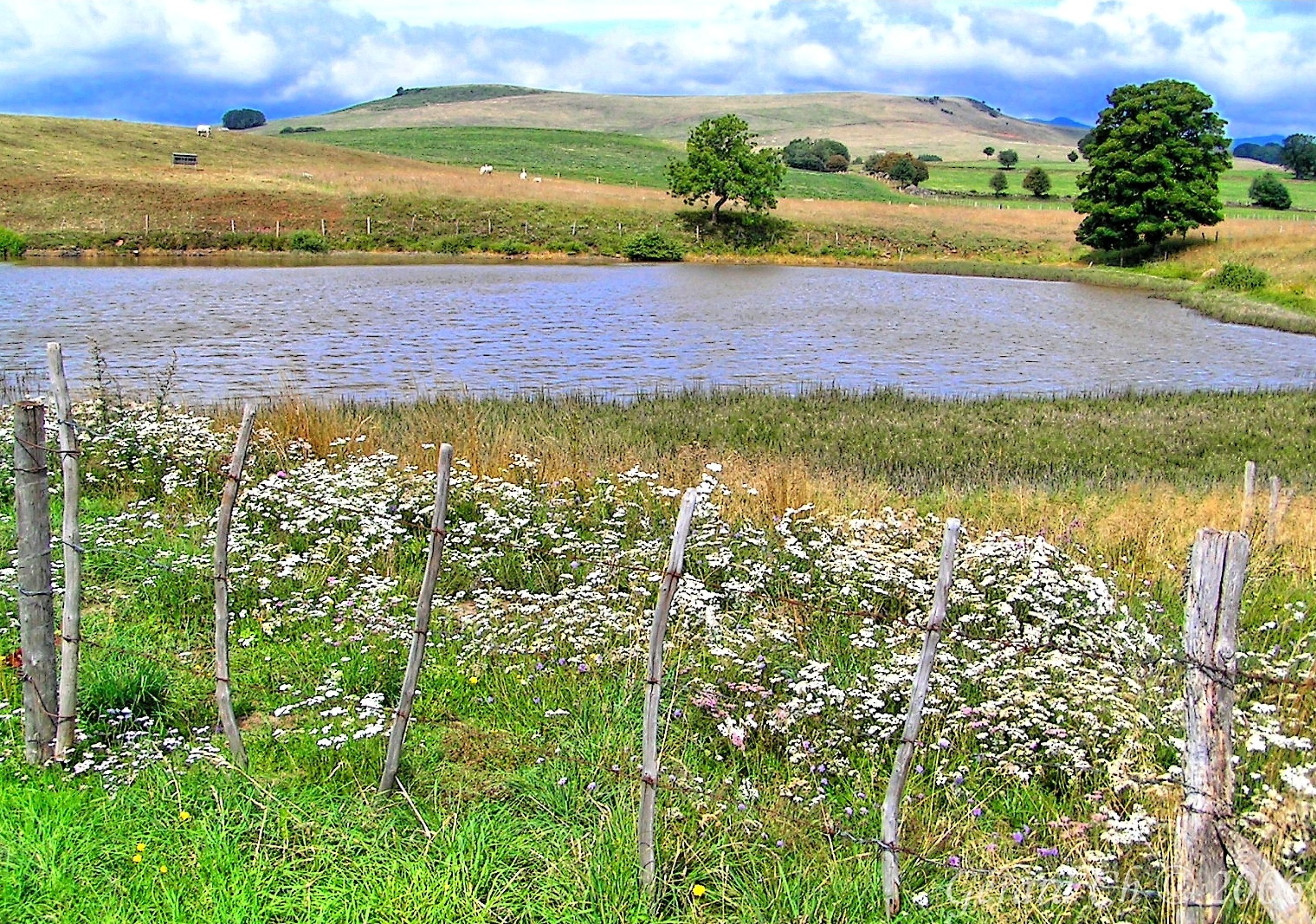 Planèze cantalienne