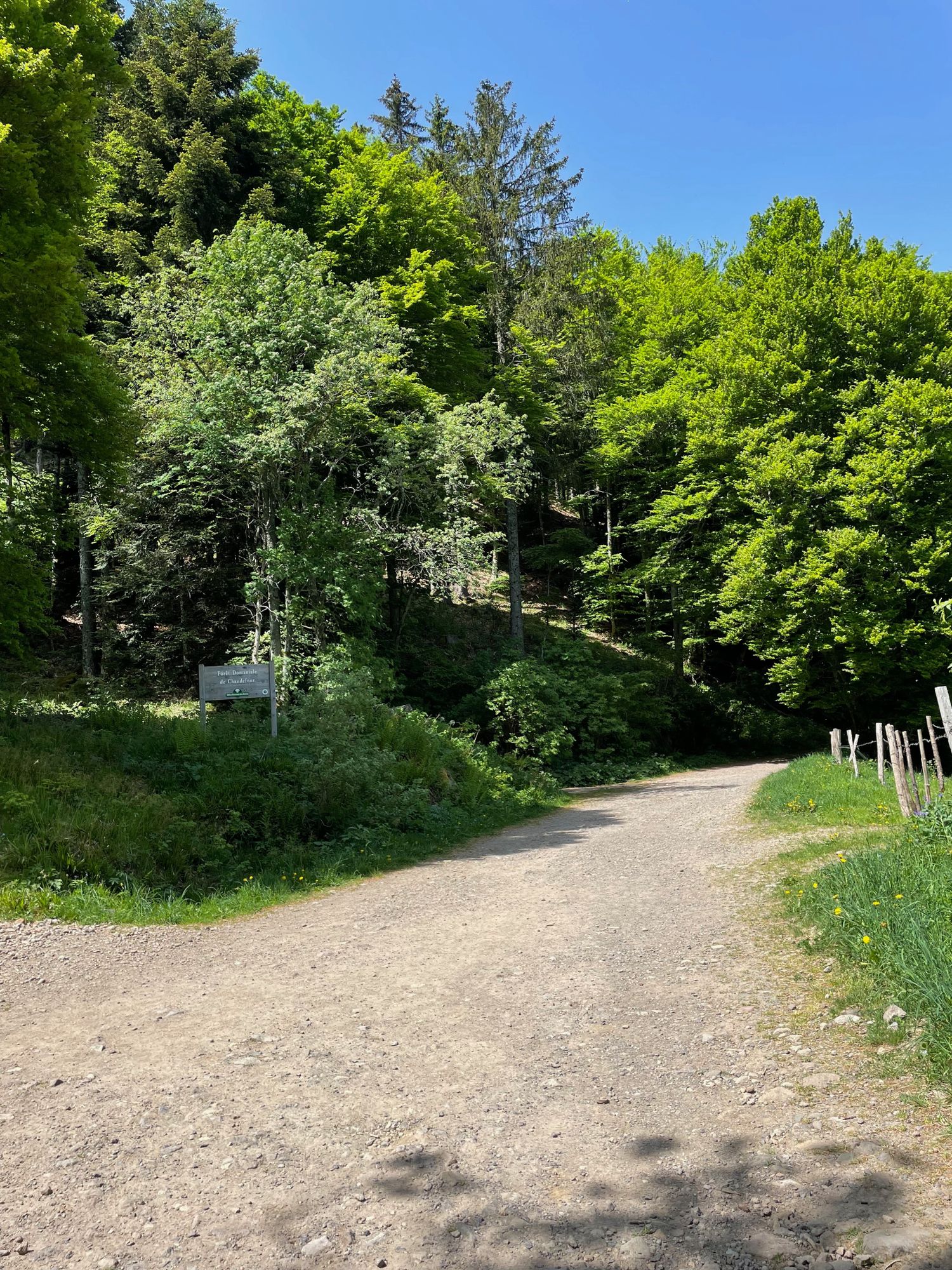Panneau Forêt de la Vallée de Chaudefour