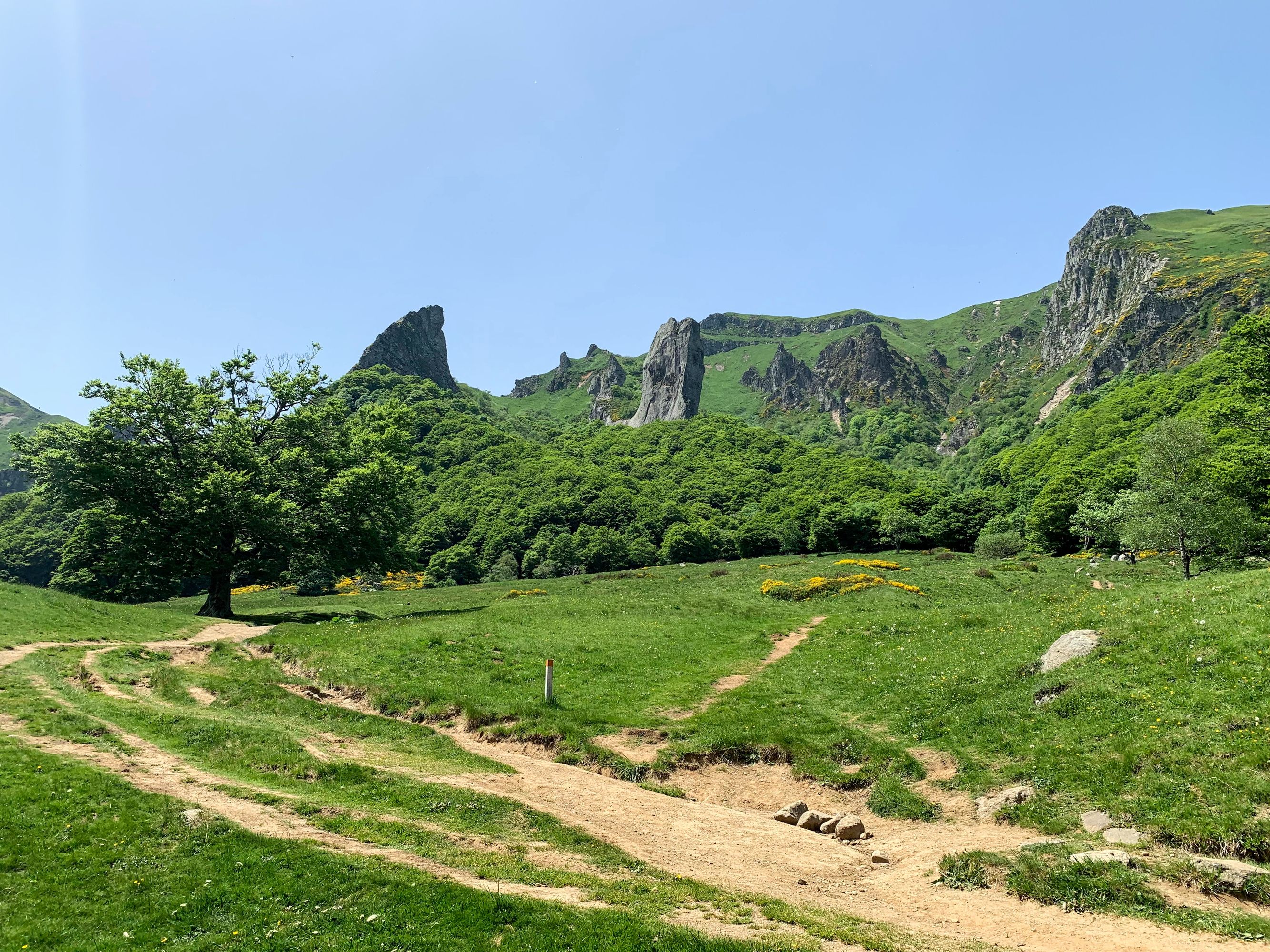 Crête du coq et la dent de la rancune