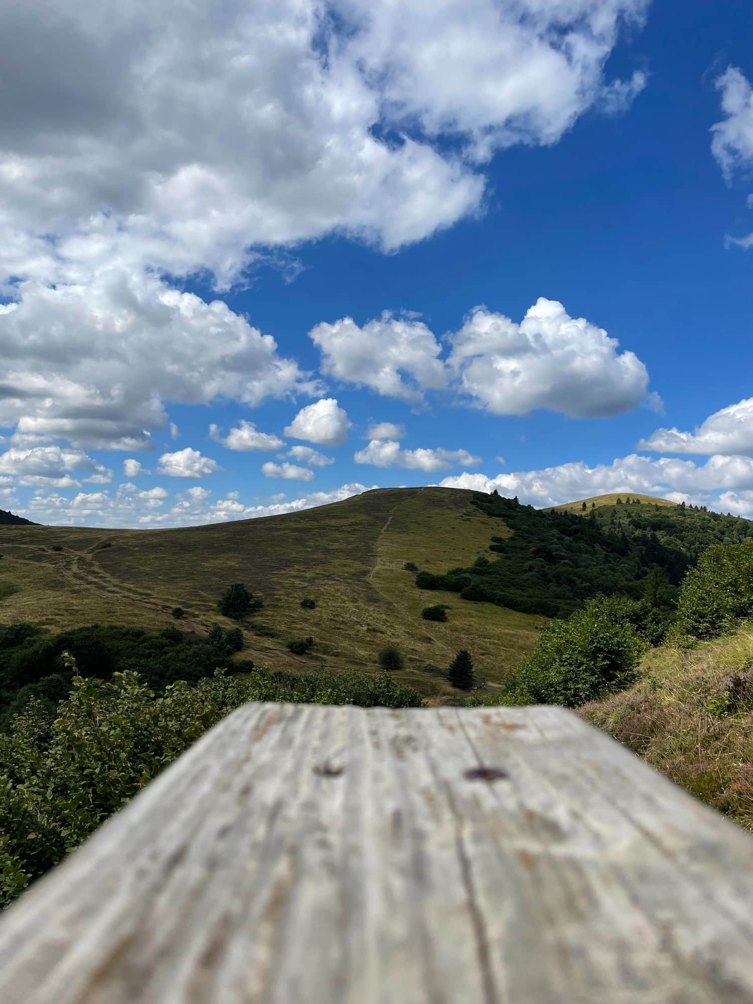 Vue sur le Petit Suchet