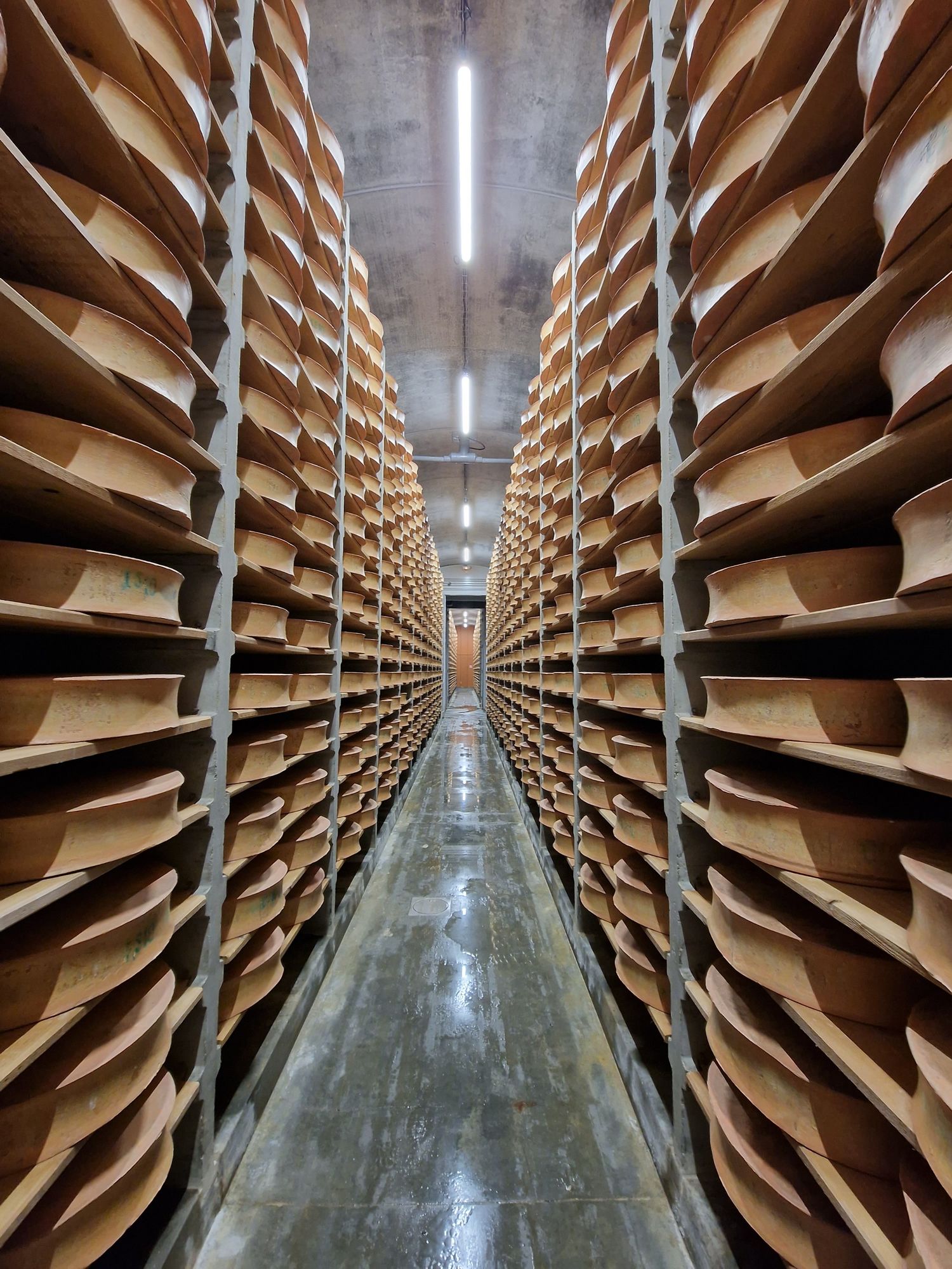 Coopérative et cave d'affinage du fromage Beaufort AOP