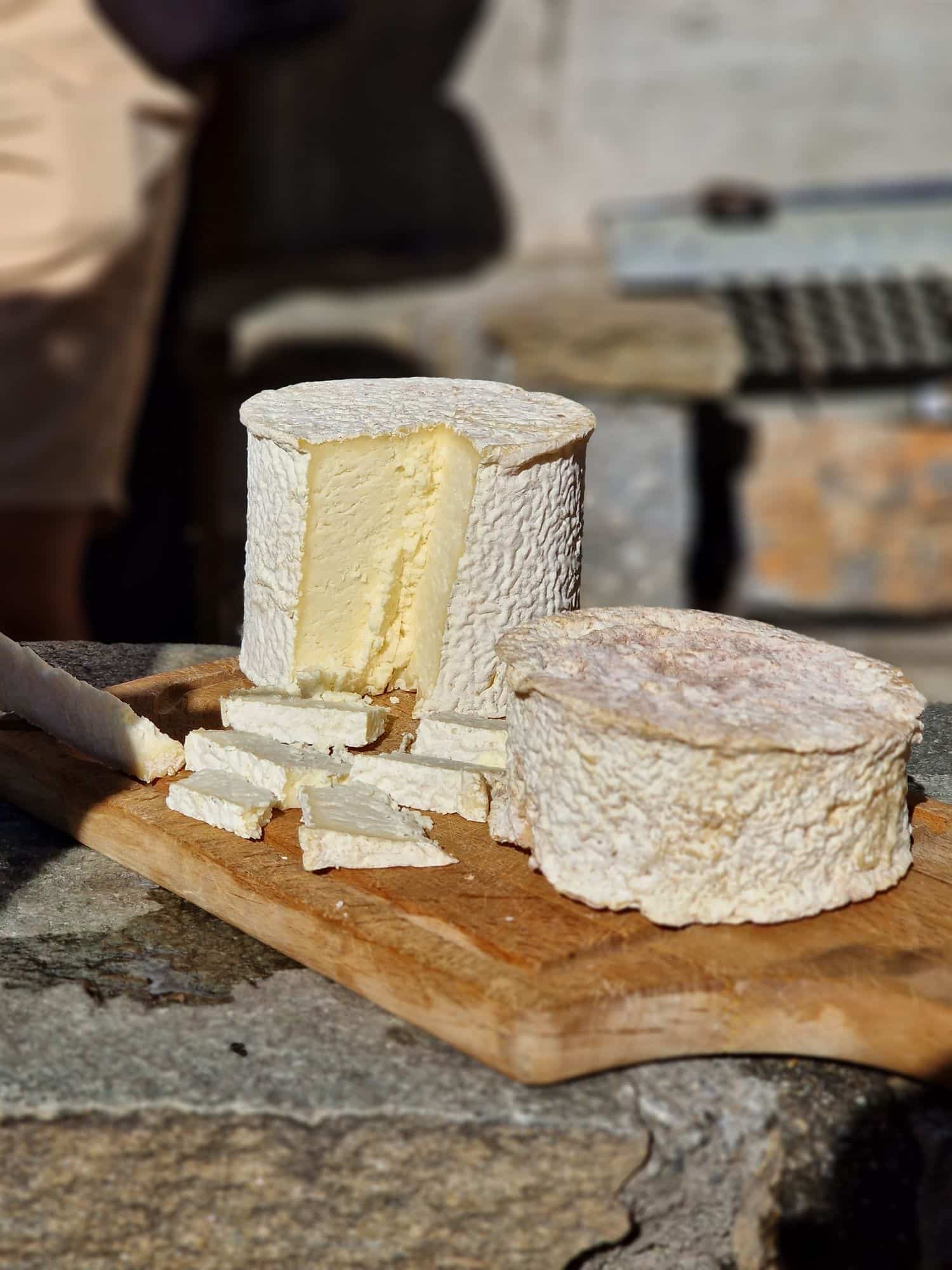 Fromage Persillé de Tignes famille Marmottan fait maison