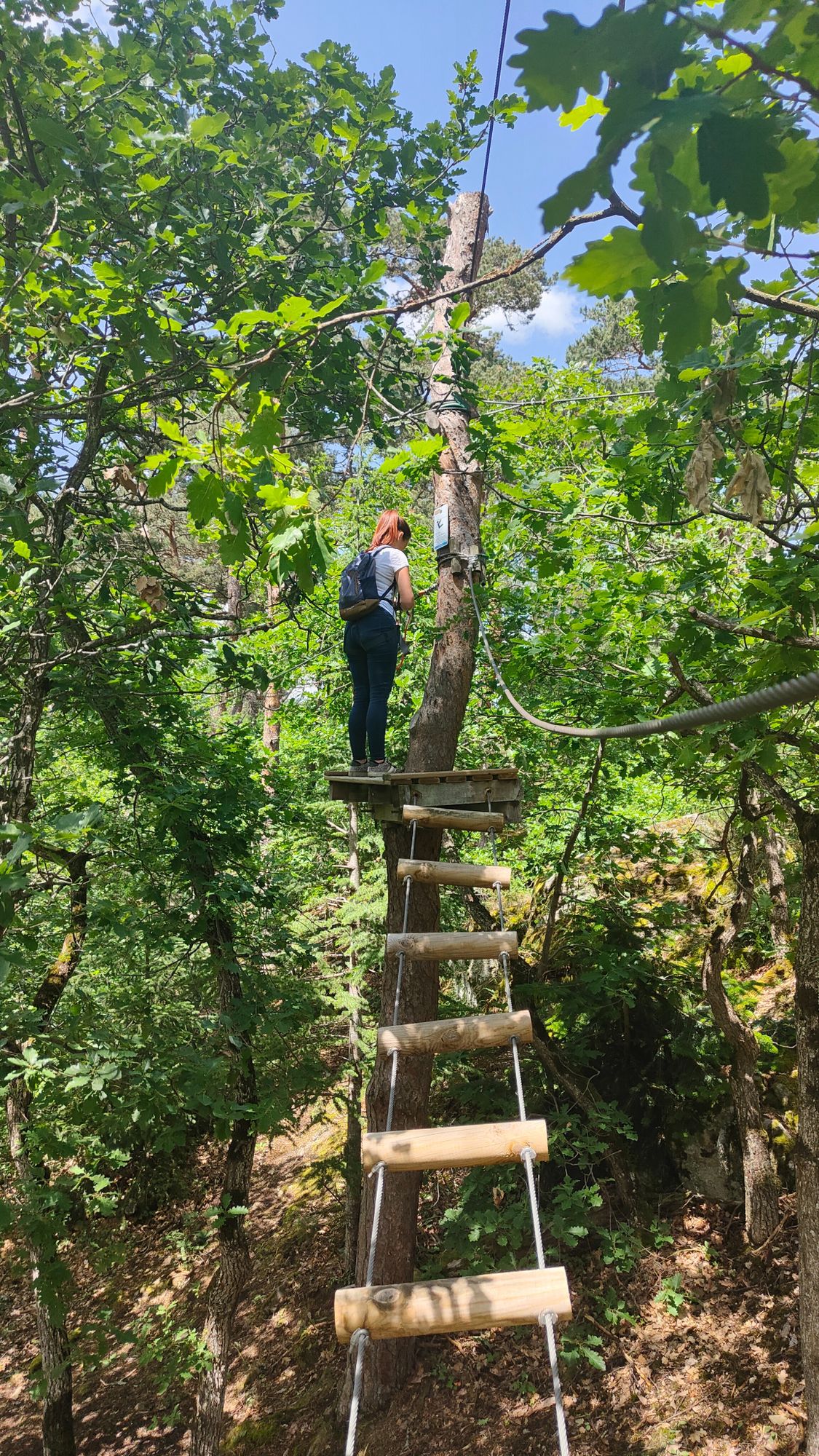 Parcours aventure dans les arbres