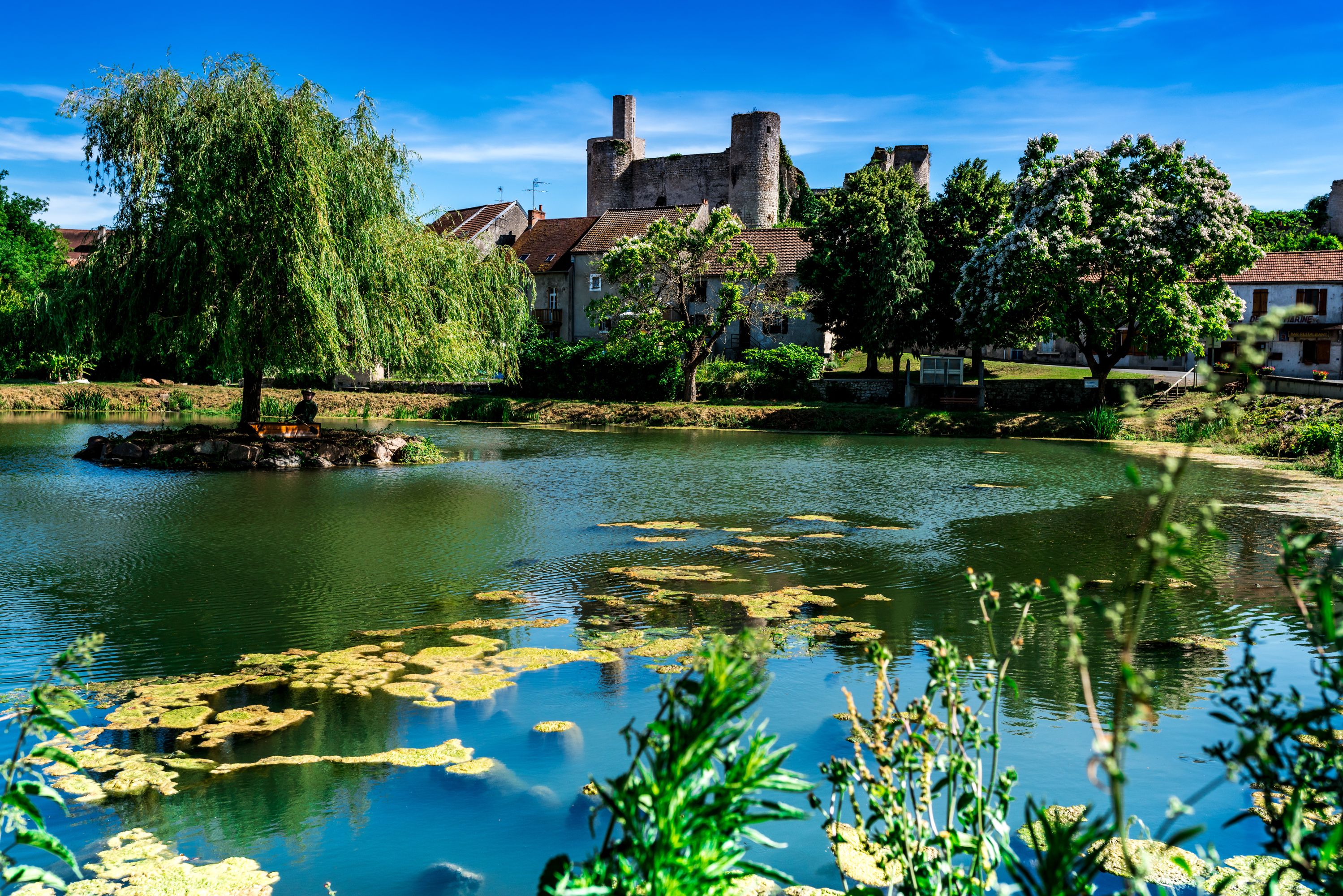 Billy et sa forteresse