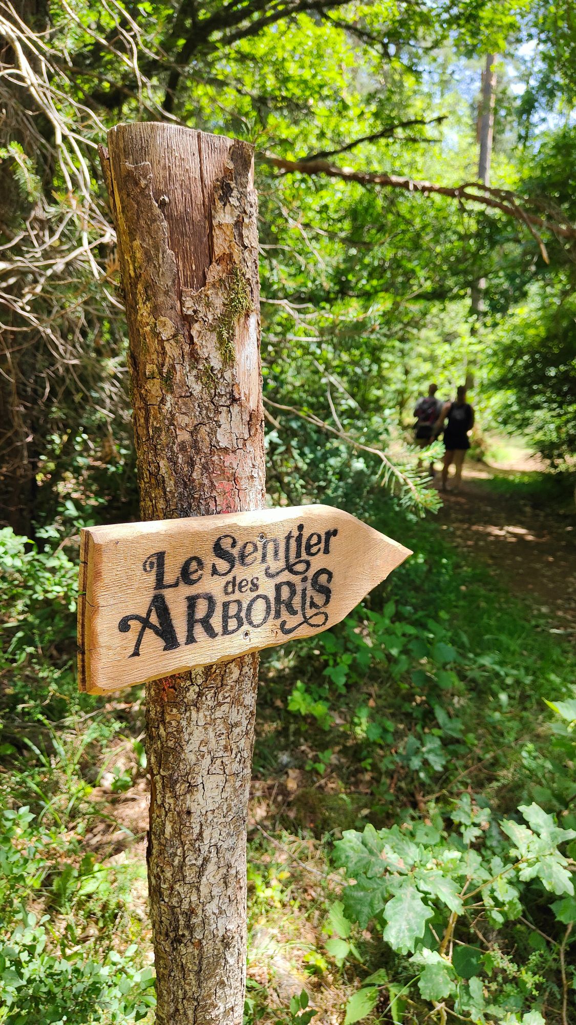 Auvergne-Rhône-Alpes Tourisme - Forêt des Arboris