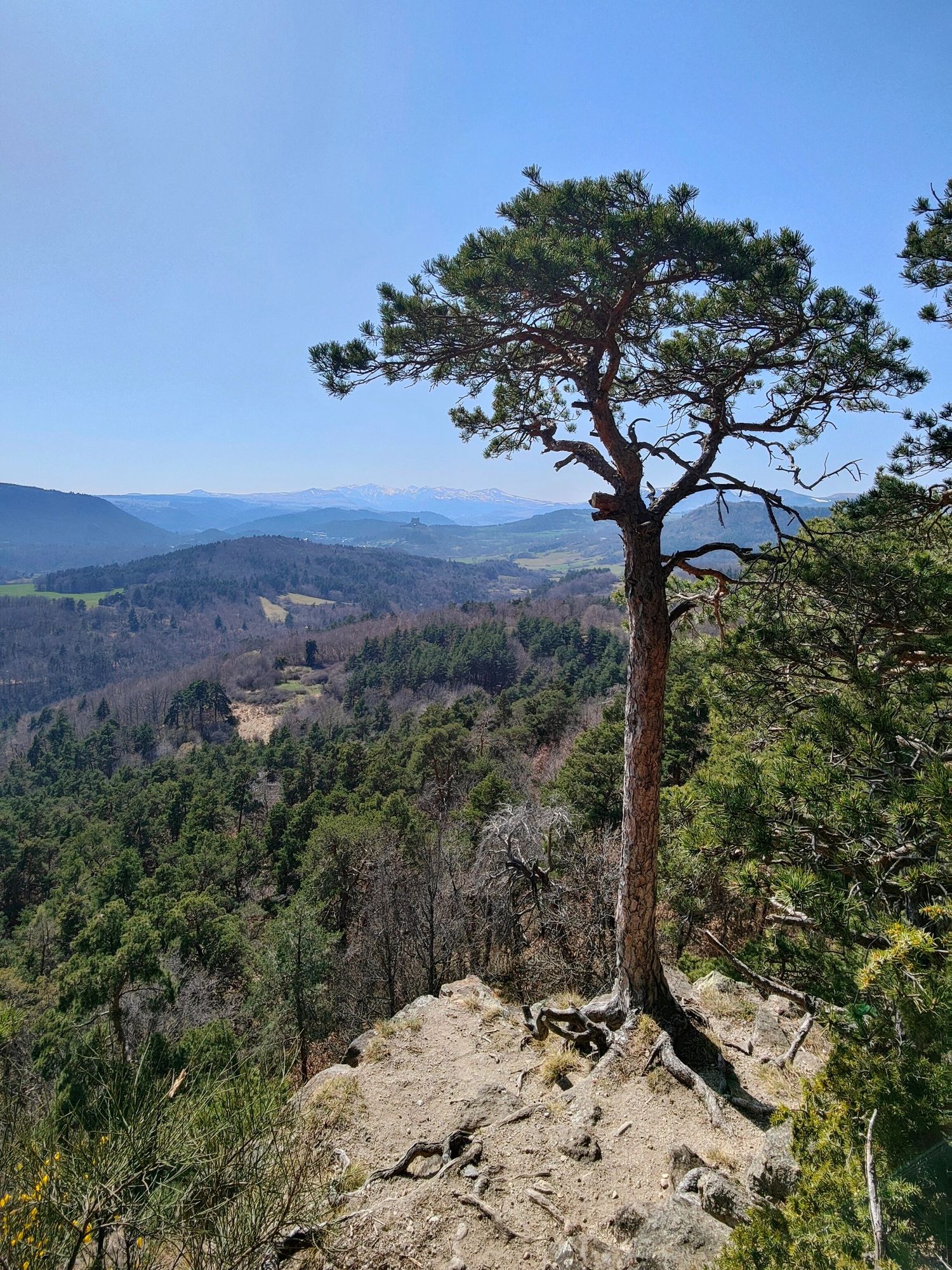 Auvergne-Rhône-Alpes Tourisme - Grottes de Châteauneuf