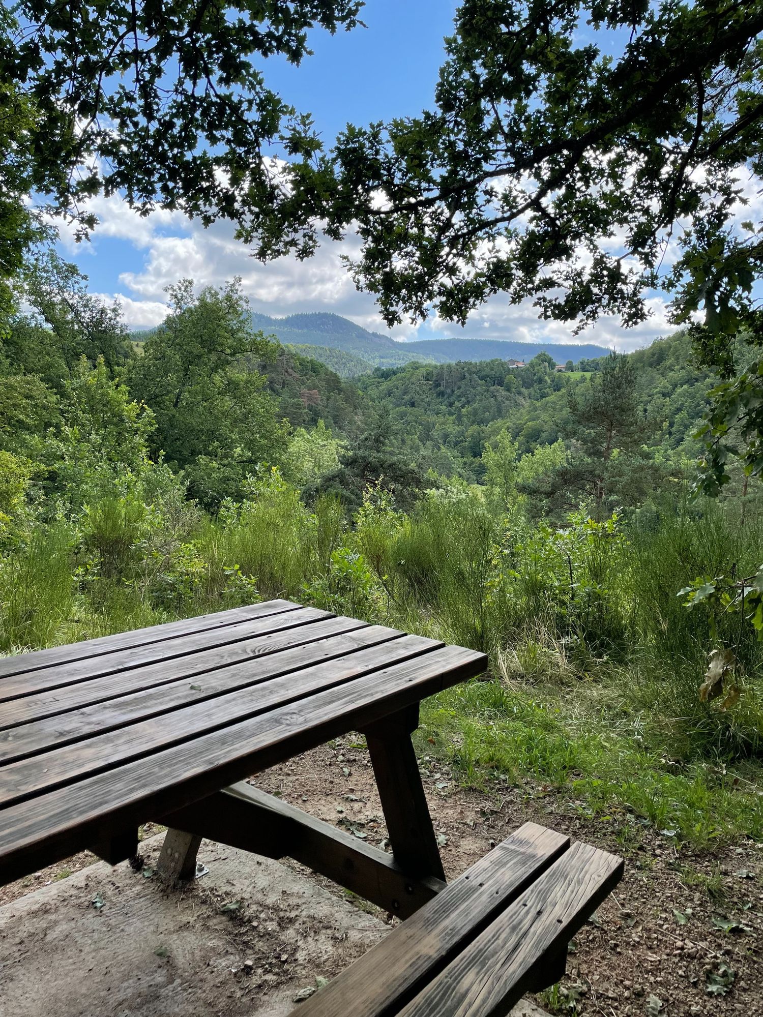 Vue que nous offre le sentier de la Galoche.