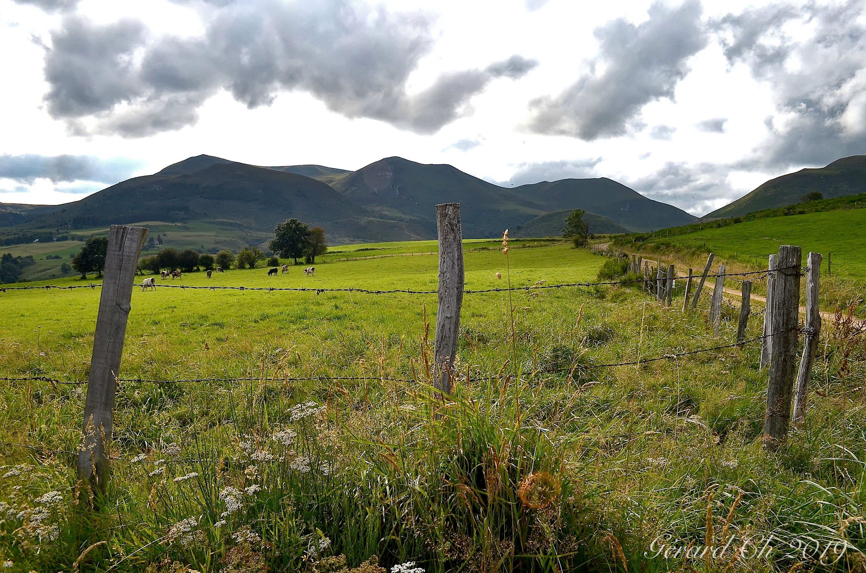 Massif du Sancy
