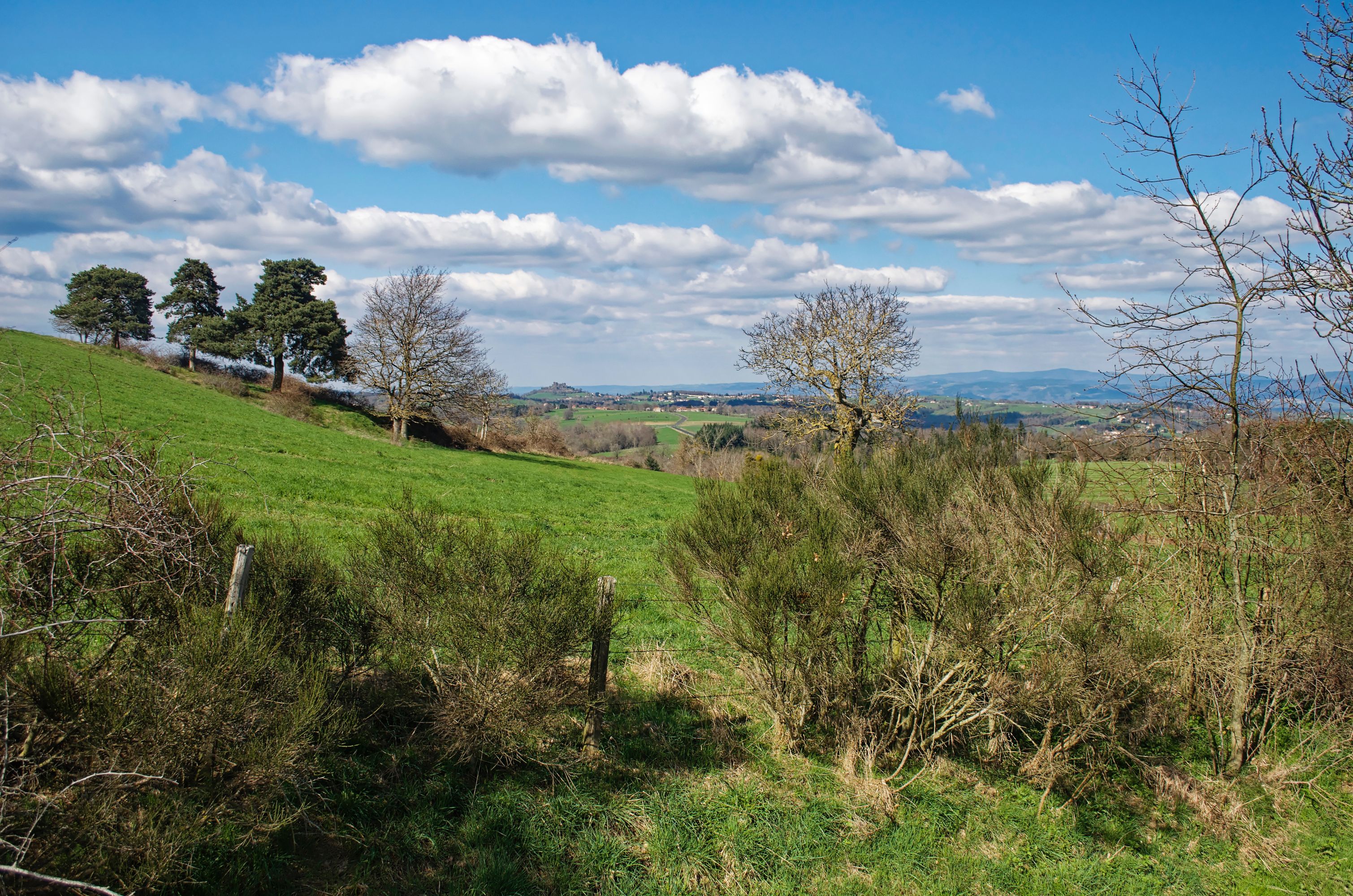 Les monts du Livradois-Forez depuis le lieu-dit 