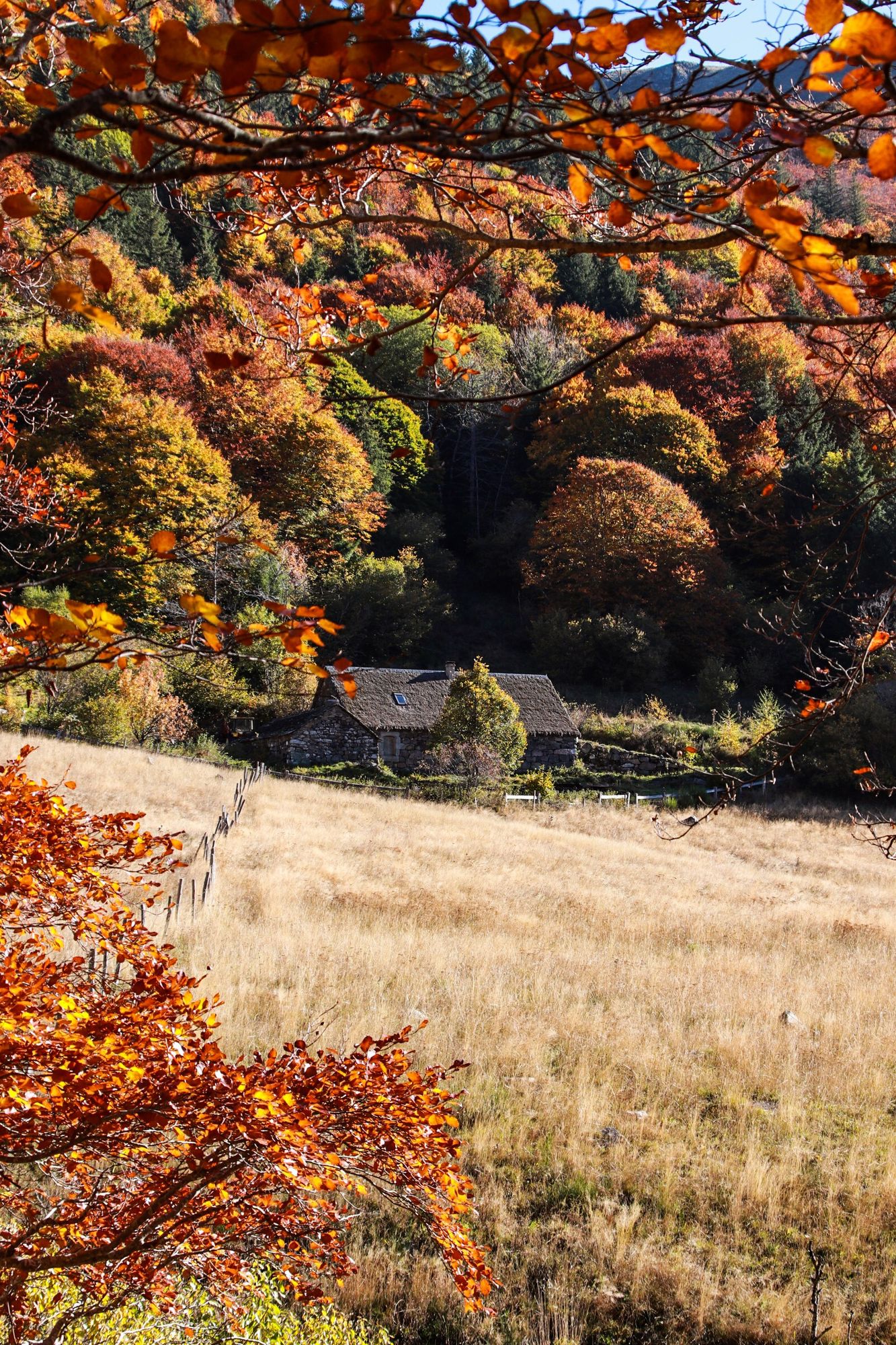 paysage d'automne du Cantal