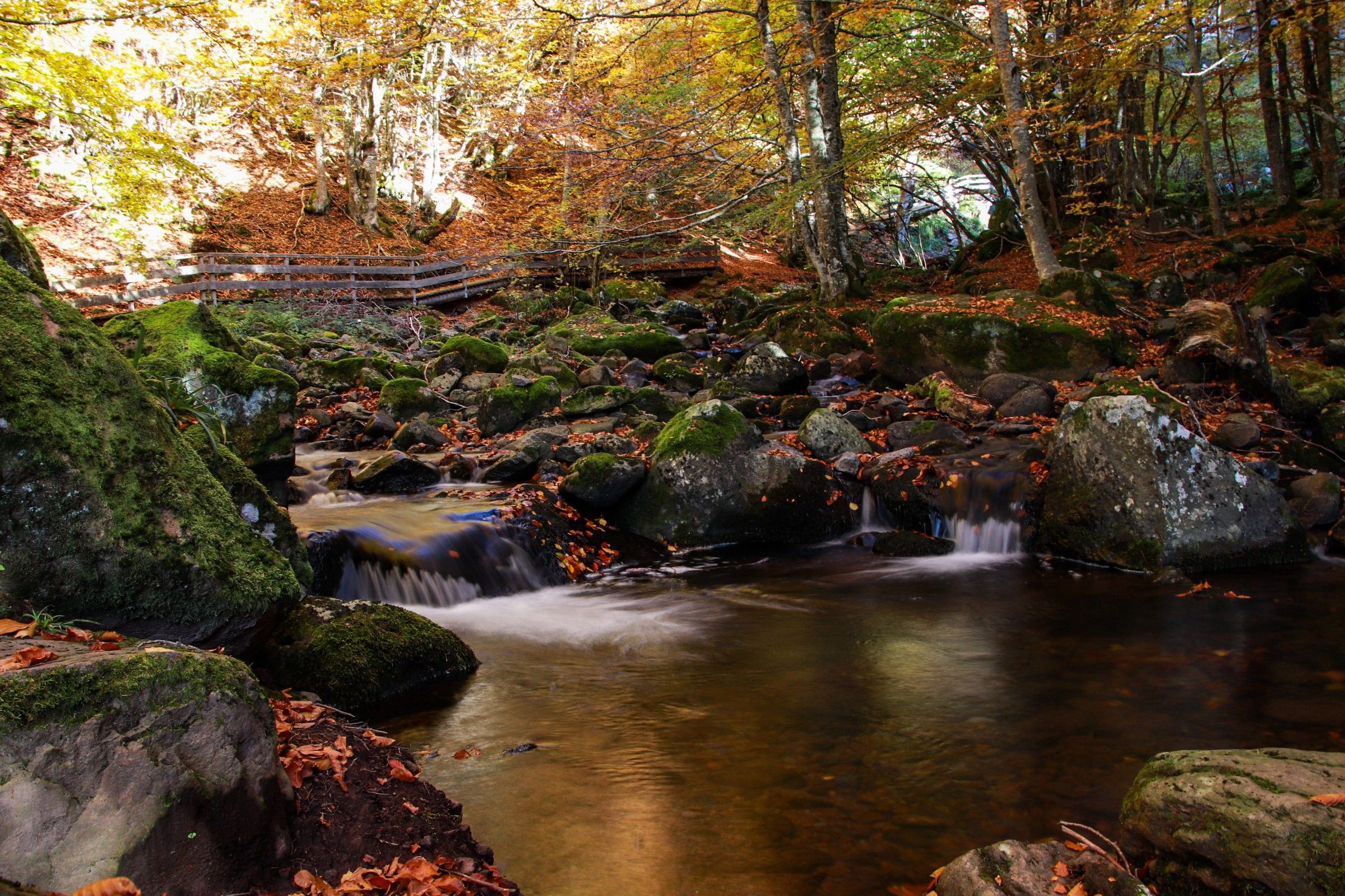 paysage d'automne auvergnat