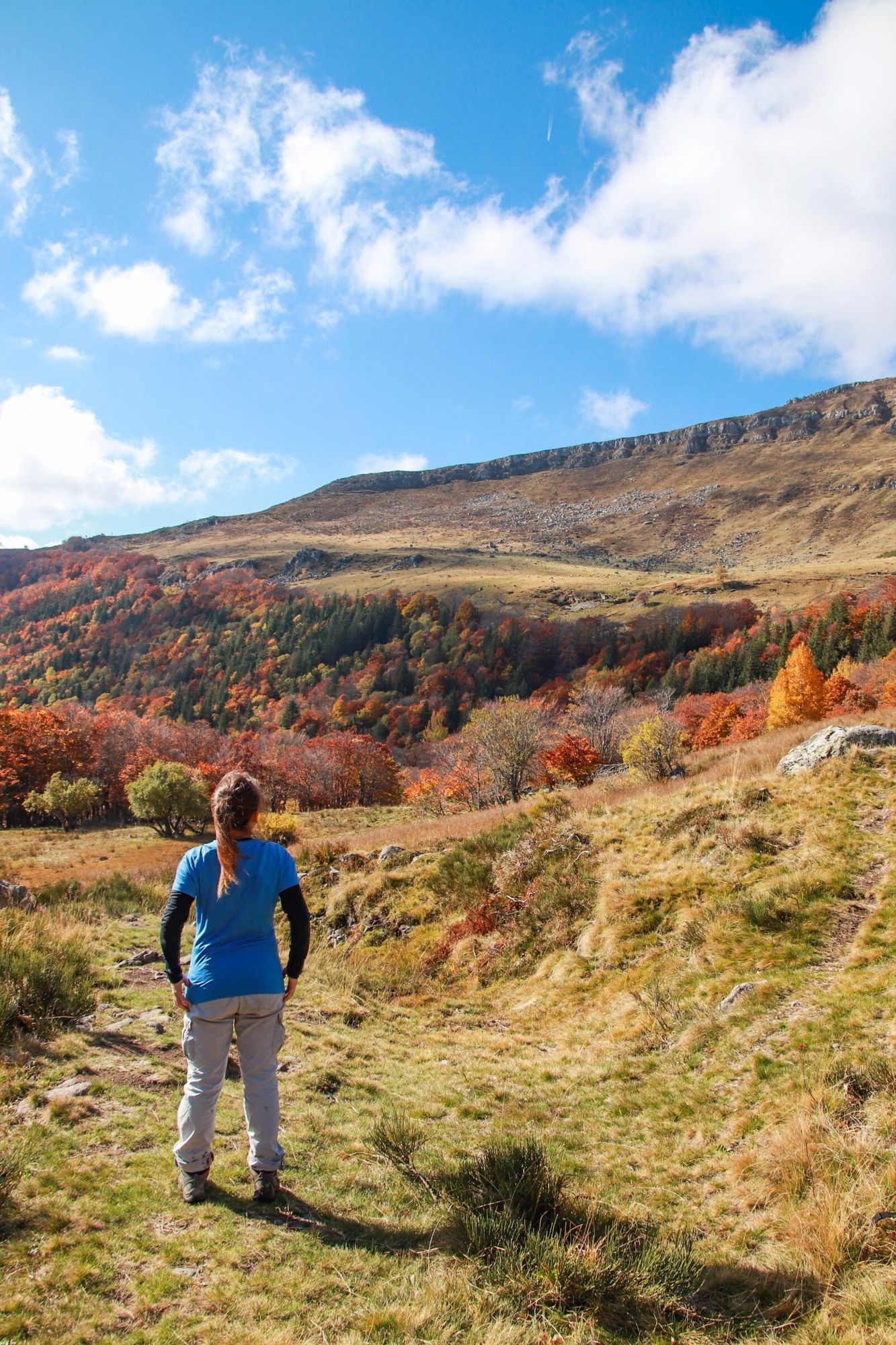 Vue sur les Monts du Cantal