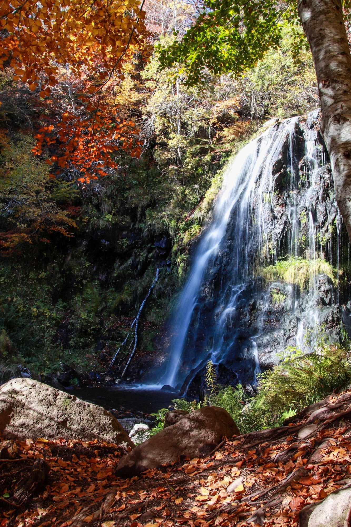 La cascade de l'Arbre de la Biche