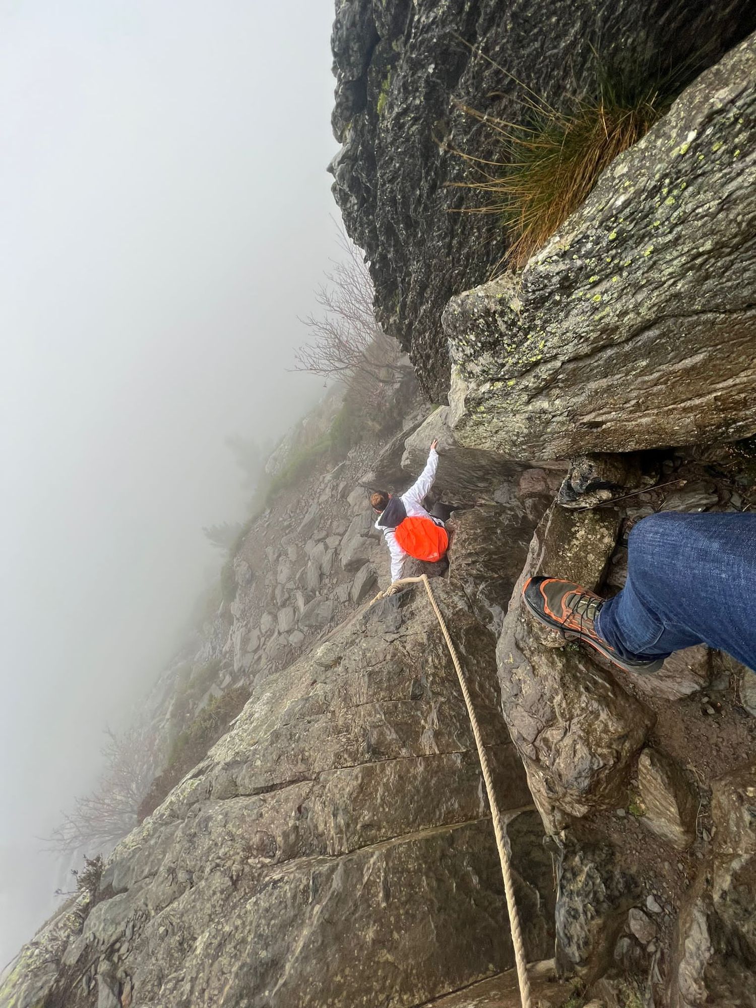 Le Mont Gerbier-de-Jonc