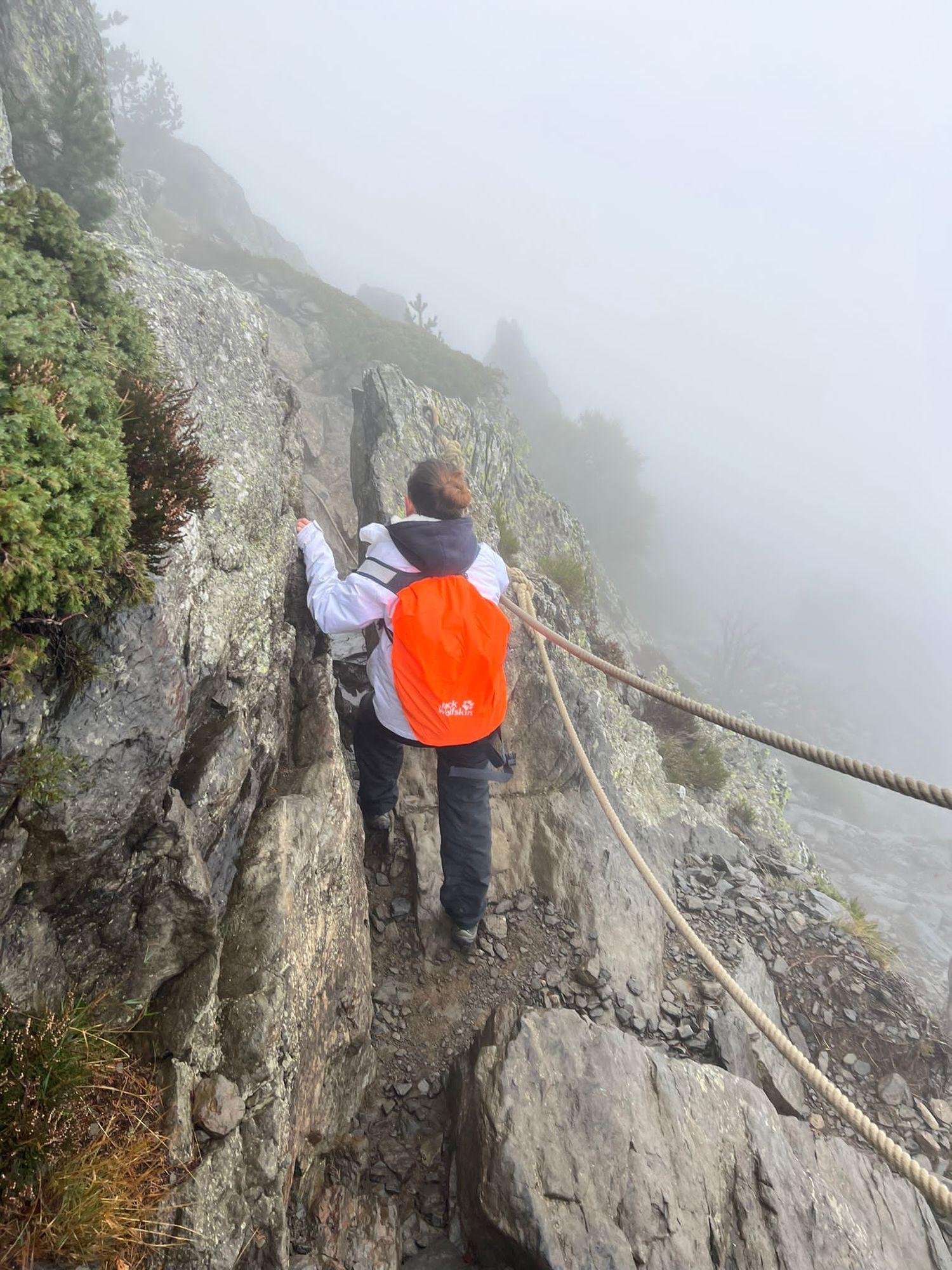 Le Mont Gerbier-de-Jonc
