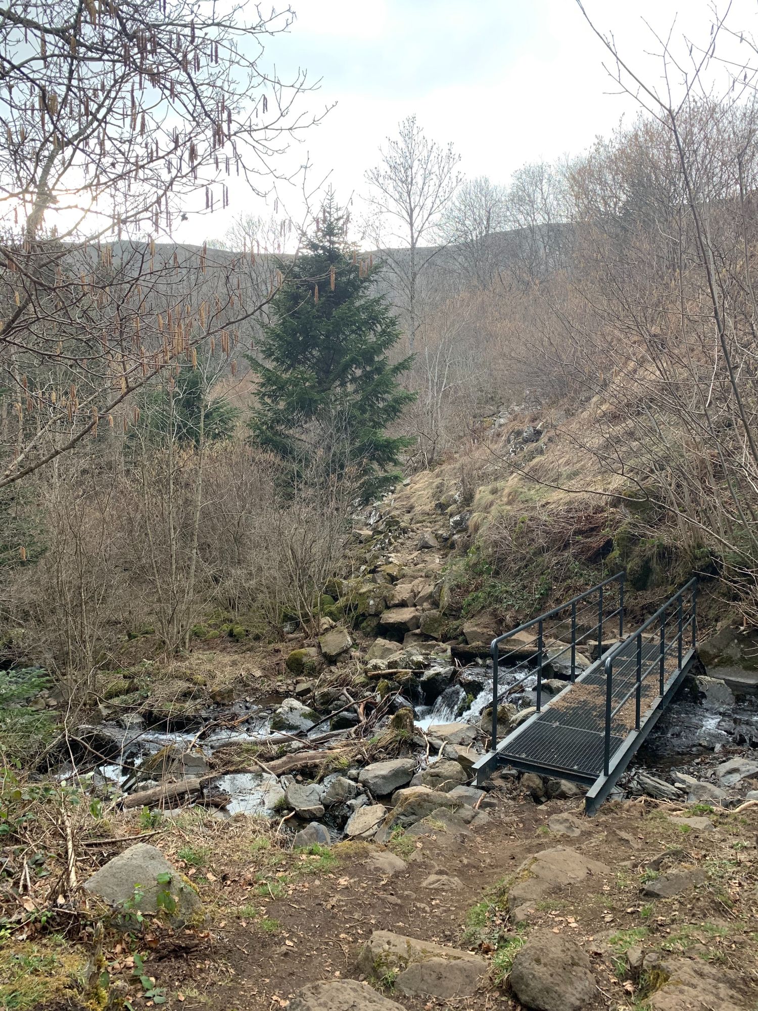 Chemin qui mène à la cascade de la Terrisse dans le Cantal.