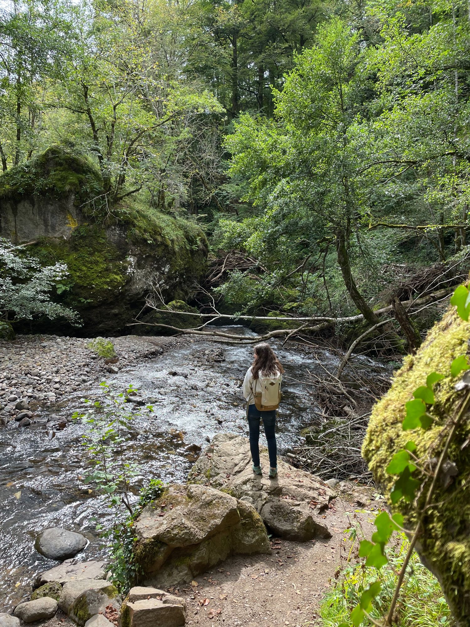 Les gorges du Pas de cère dans le Cantal