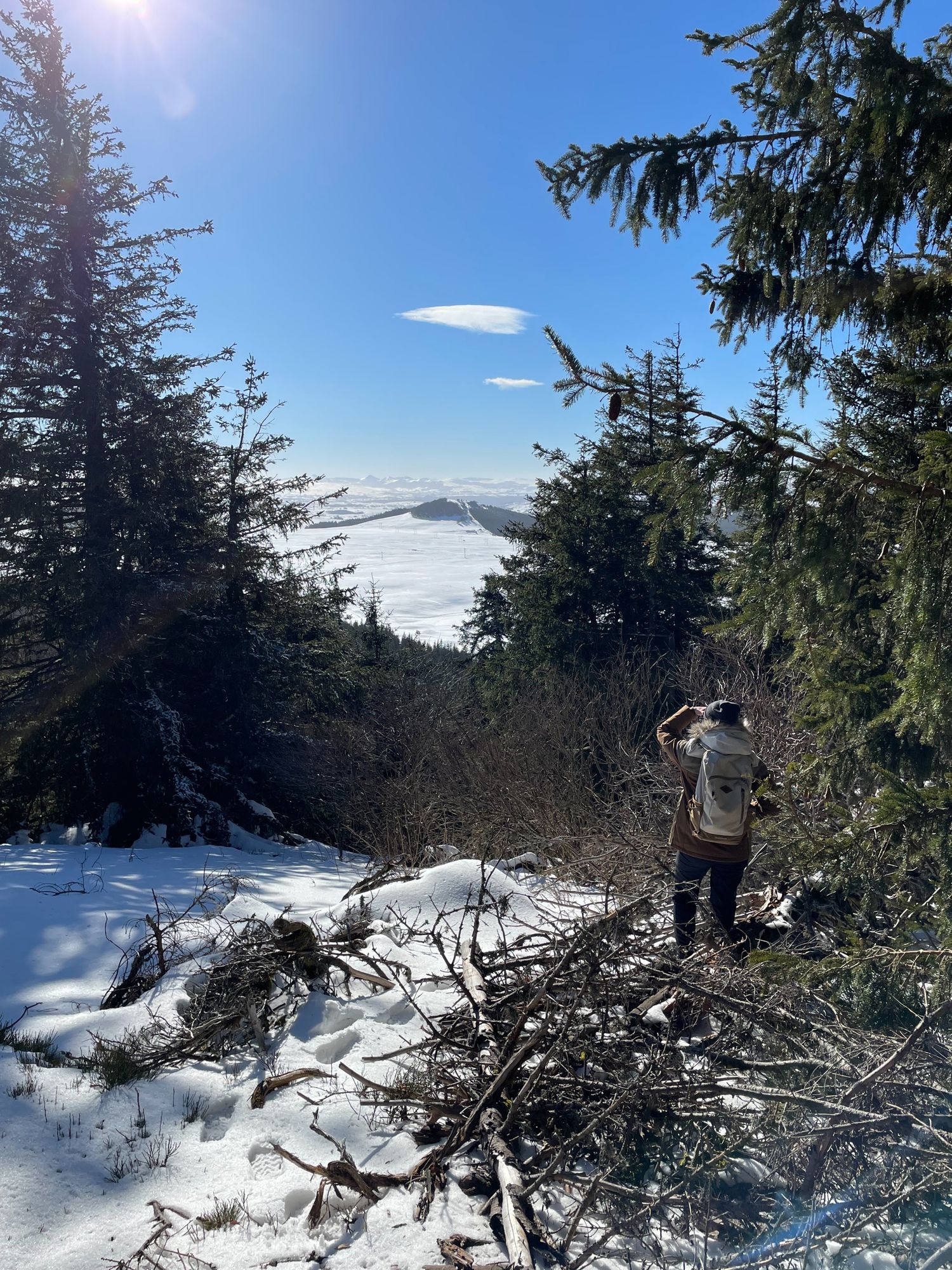 Vue sur les Massifs du Cantal depuis le Puy Montchal