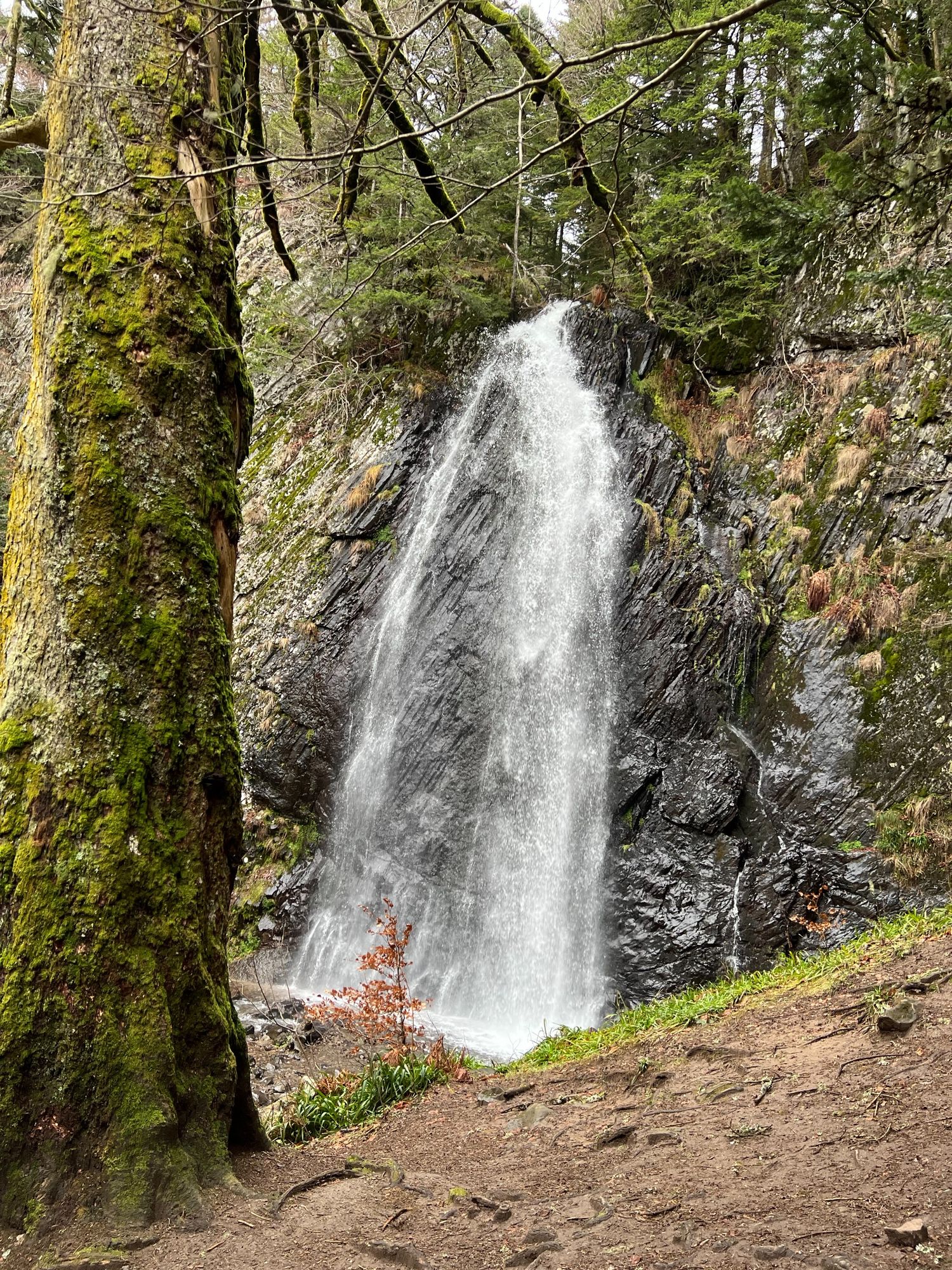 cascade du Queureuilh en Auvergne