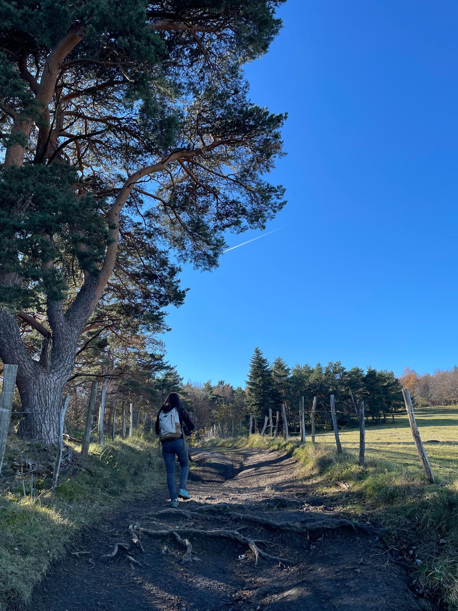 Sentier de la Dent Du Marais en Auvergne