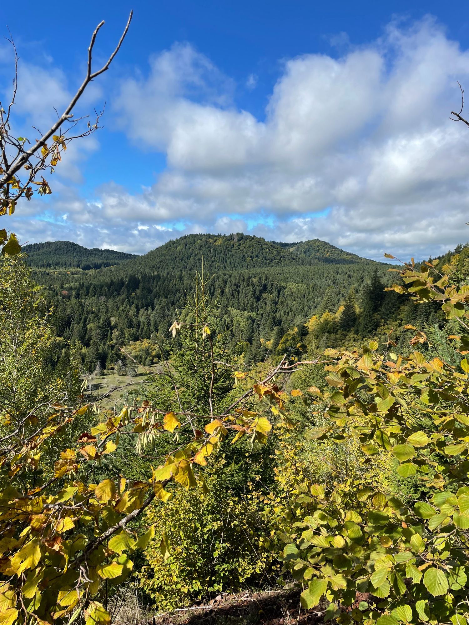 Vue depuis l'ascension du Puy de la vache