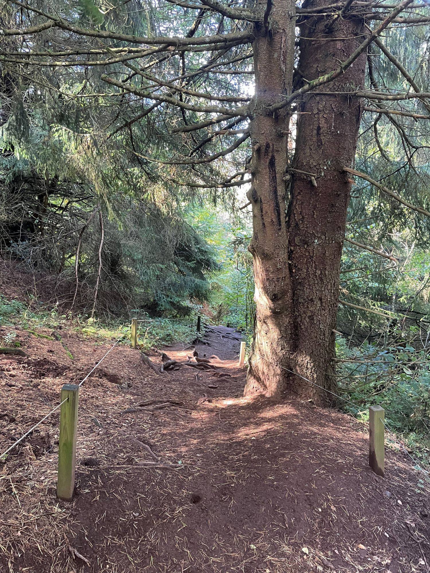 Sentier pour rejoindre le Puy de Lassolas