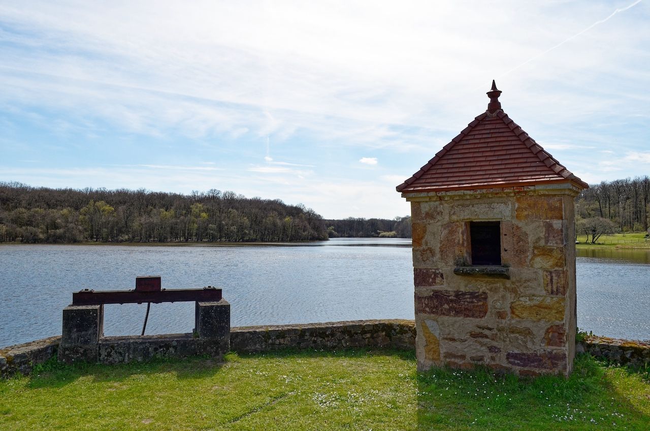 Étang de Tronçais - Allier Bourbonnais