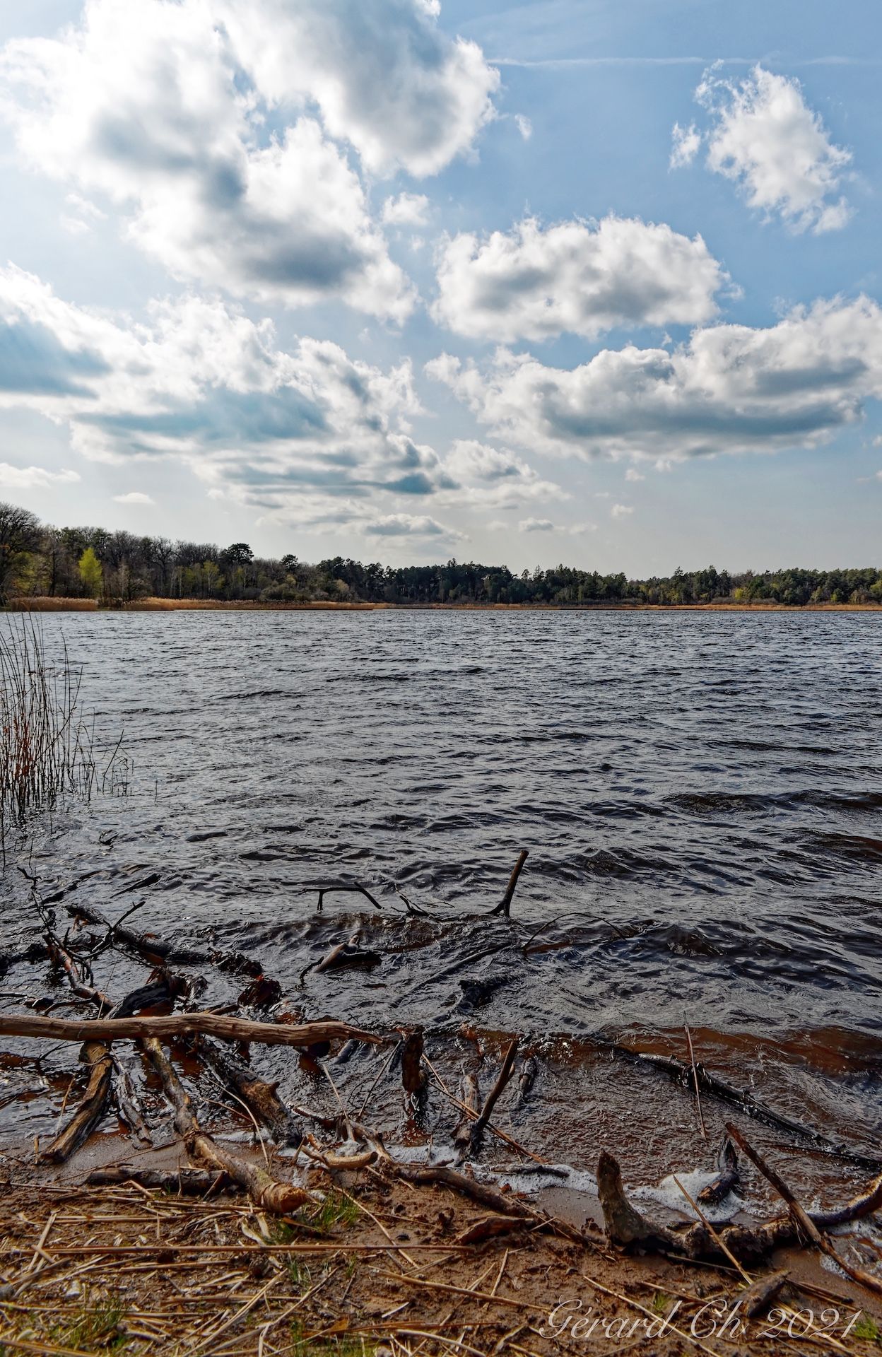 Étang de Saint-Bonnet - Forêt de Tronçais