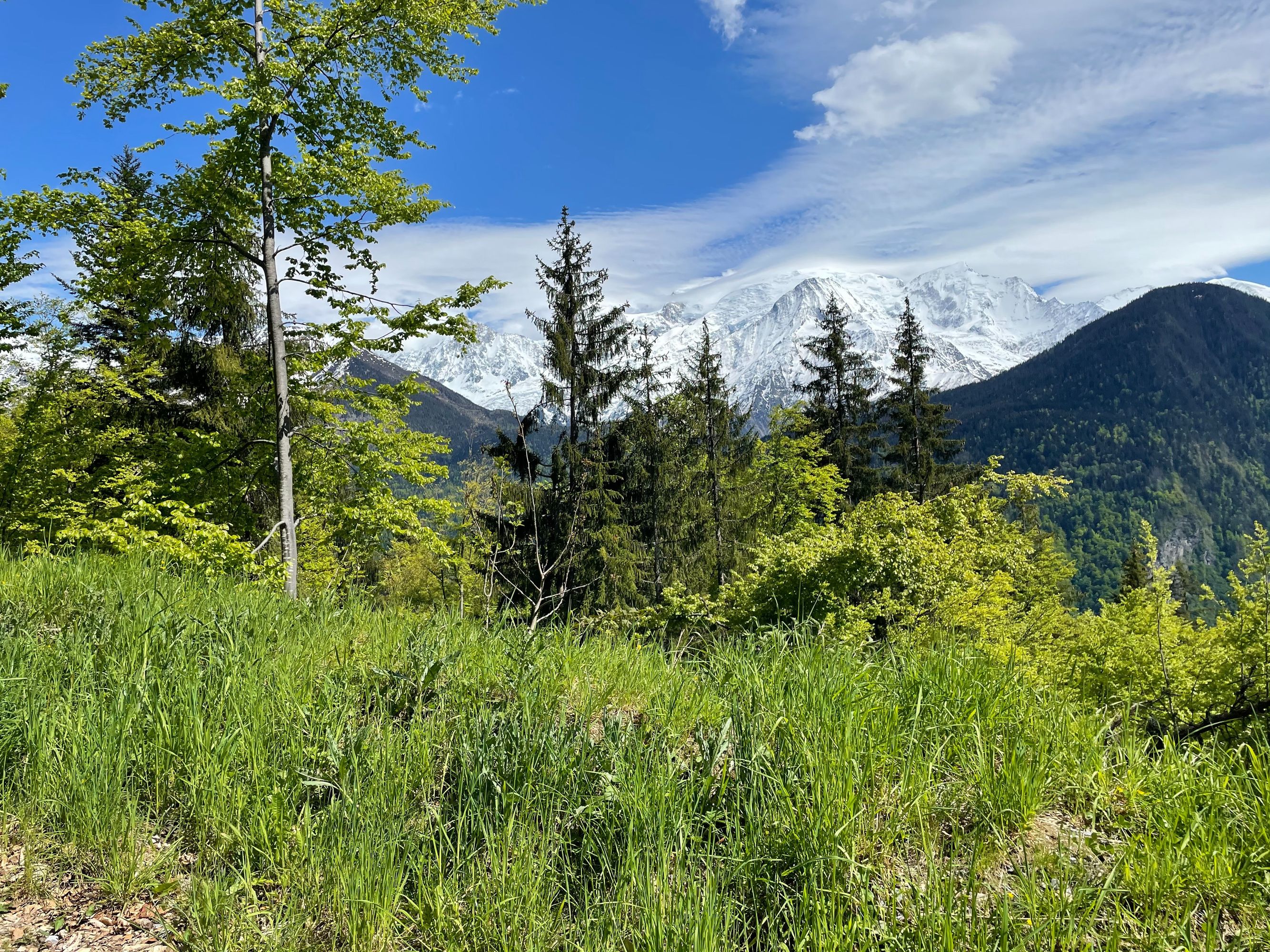 Le massif du Mont Blanc