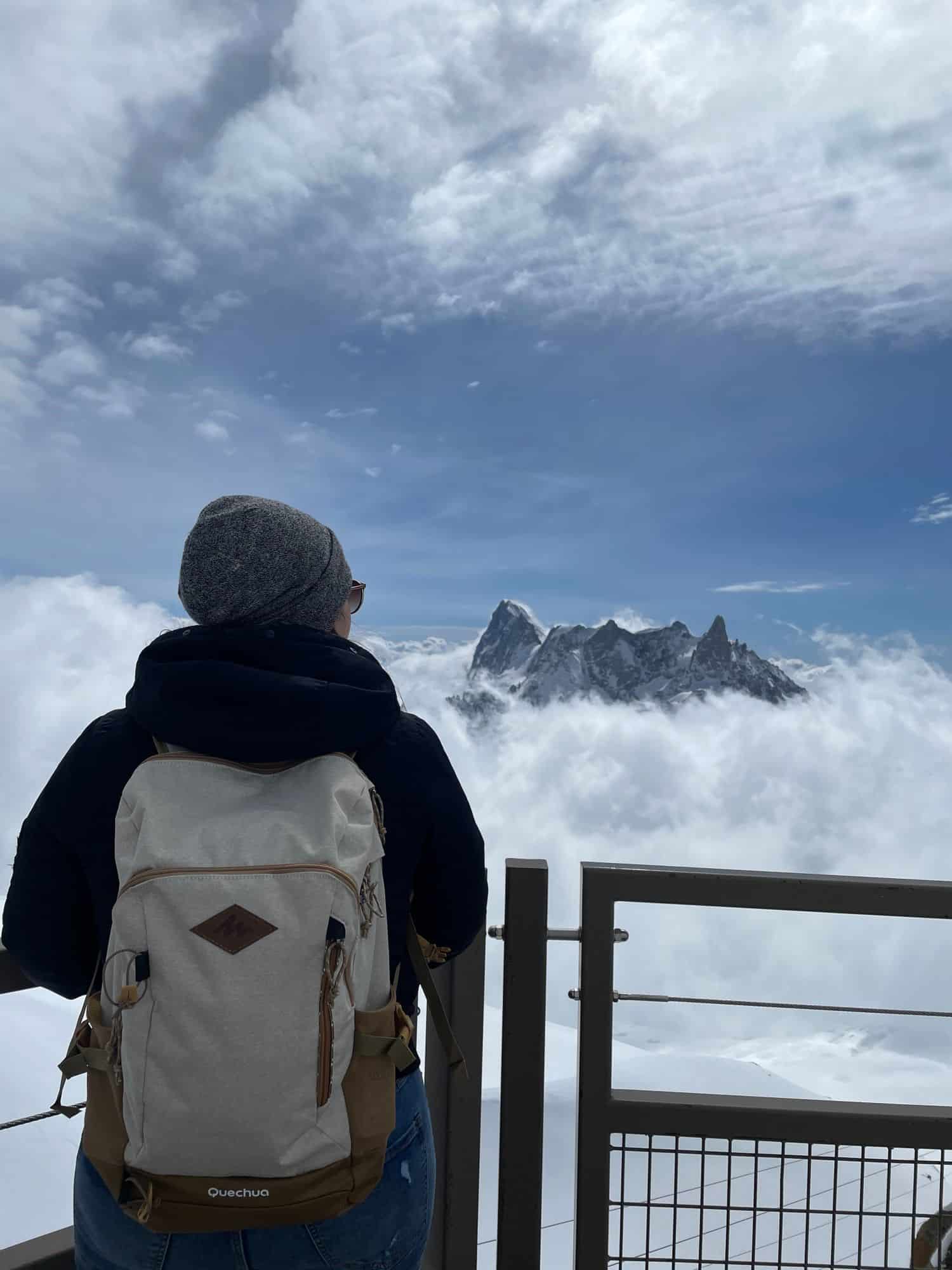 panorama sur les Alpes