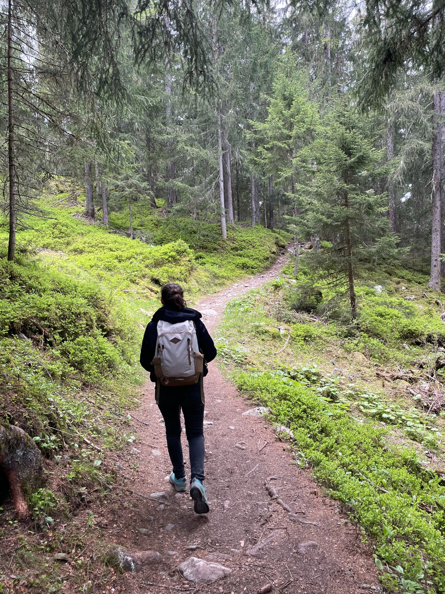 Sentier pour monter au glacier des BOSSONS