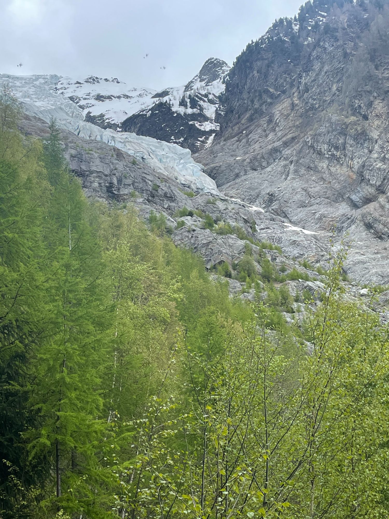 Glacier des BOSSONS