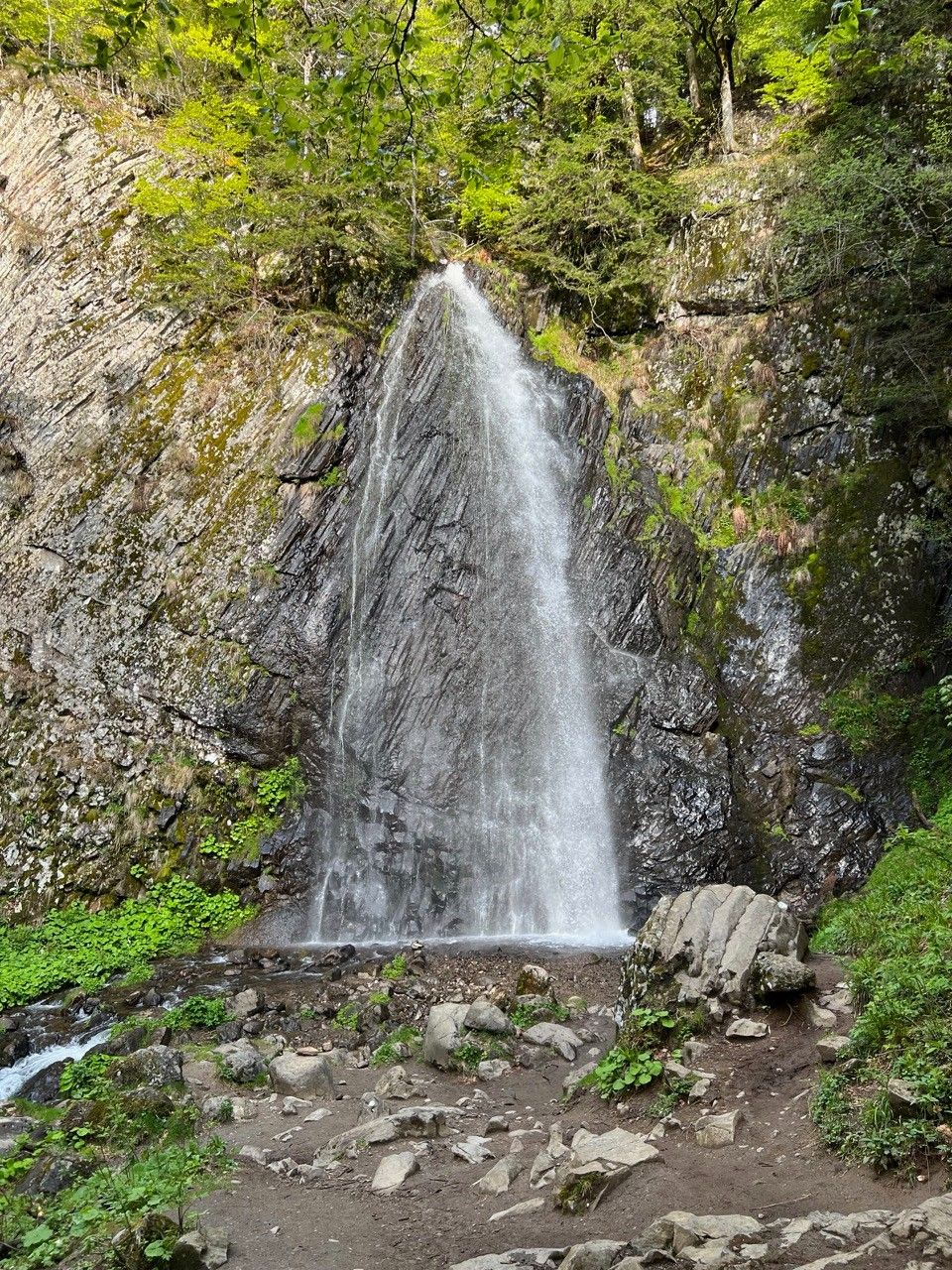 Cascade du Queureuilh au printemps