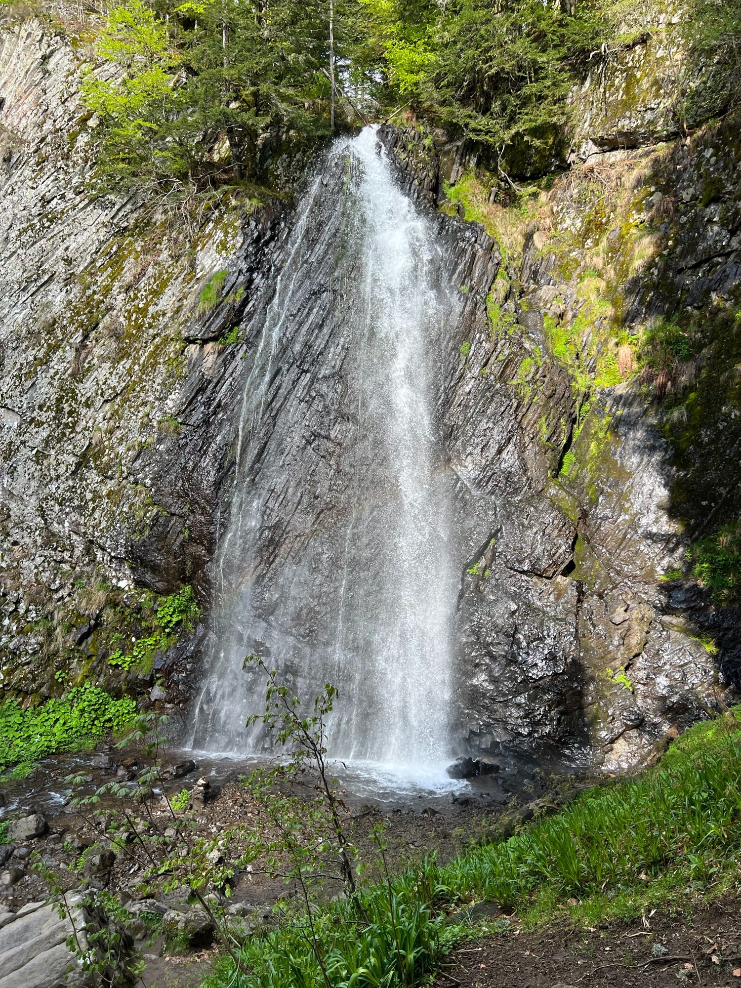 Cascade du Queureuilh au printemps