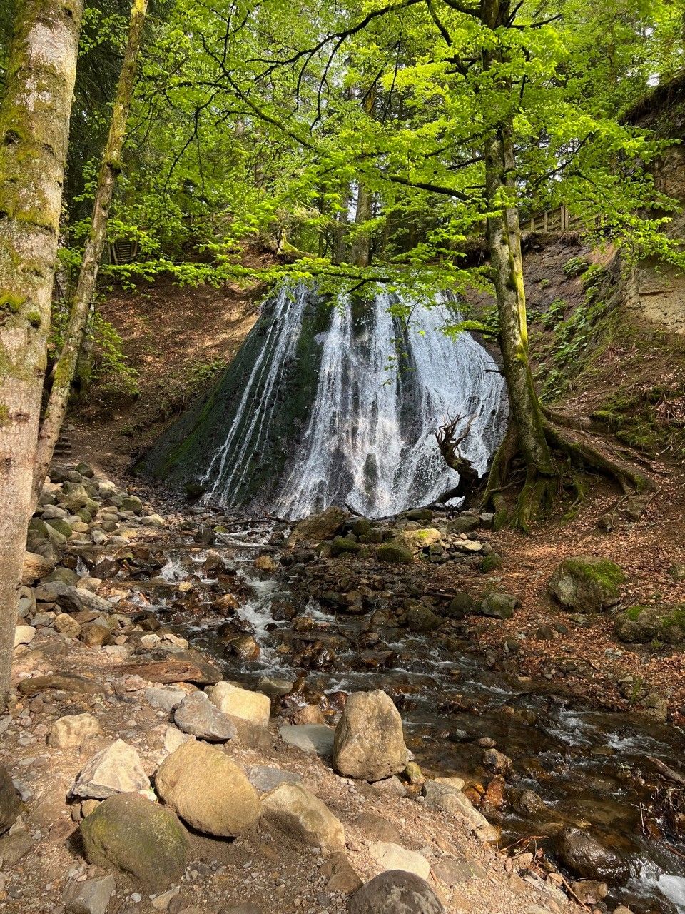 Cascade du Rossignolet au Mont Dore