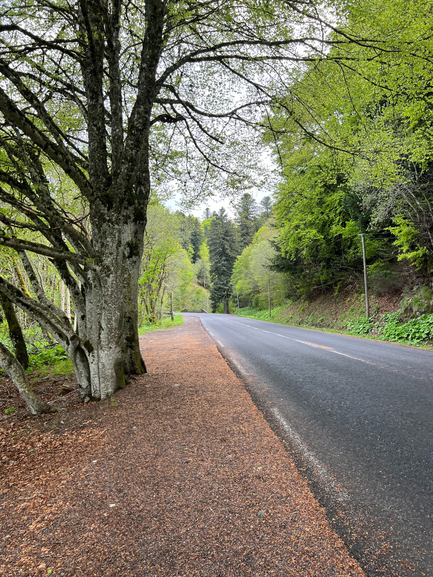 route pour aller à la cascade du Saut Du Loup dans le Puy-De-Dôme