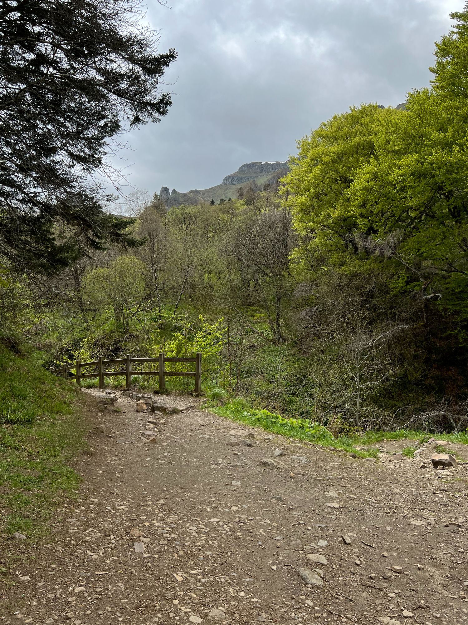 Sentier qui mène à la source Saint-Anne en Auvergne
