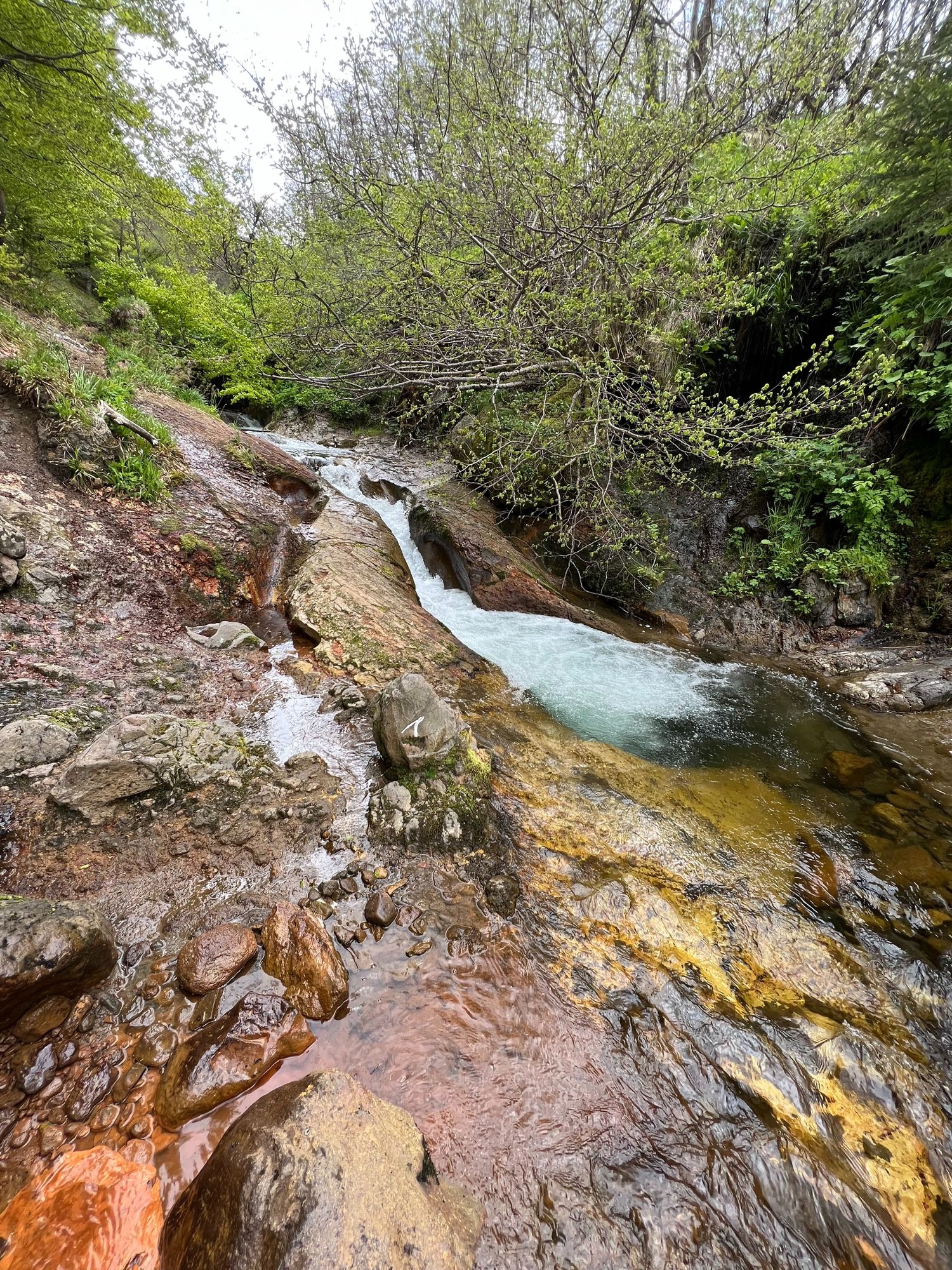 Ruisseau de la Couze à côté de la source Saint-Anne