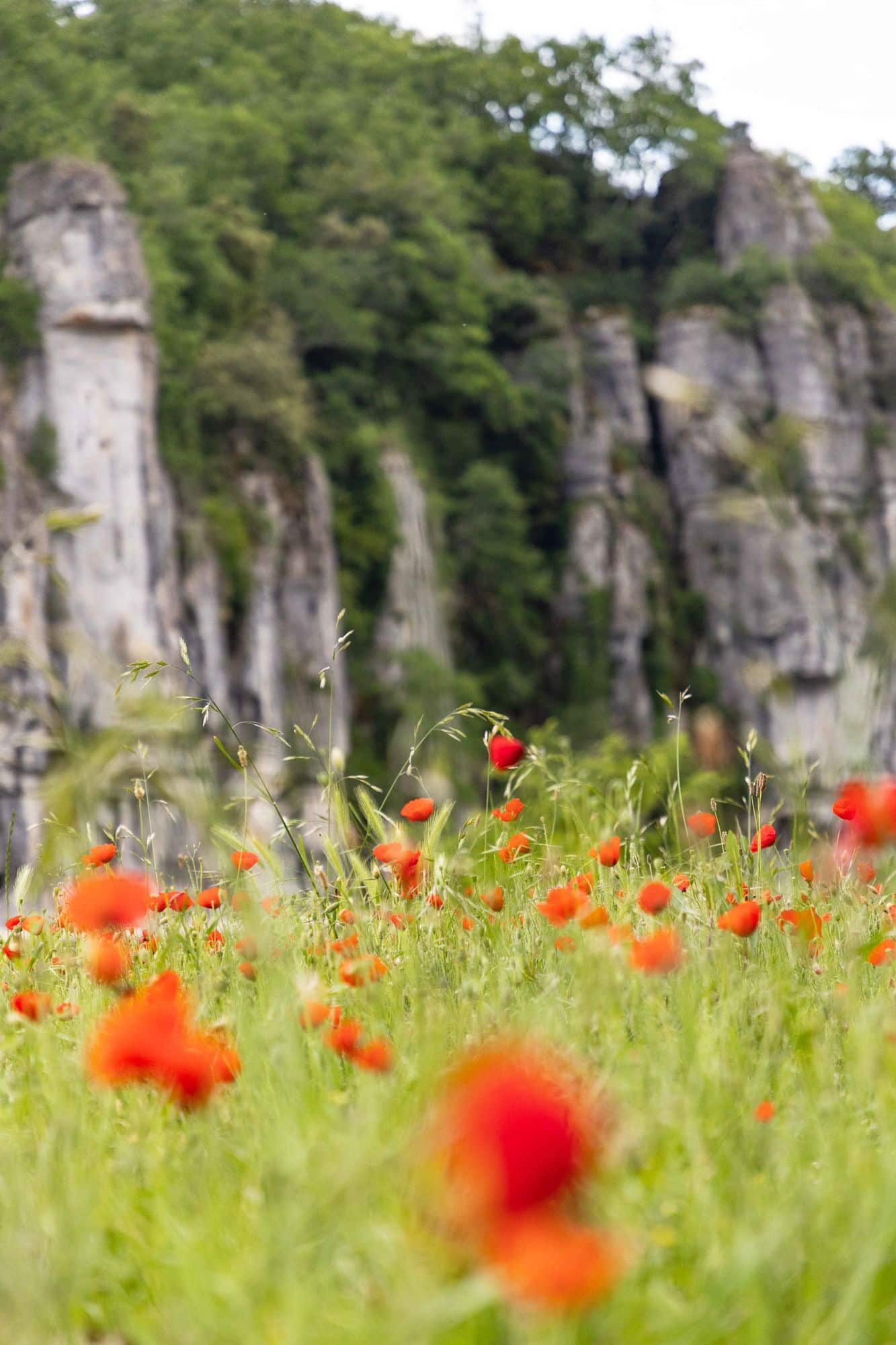 Labeaume et ses falaises calcaires